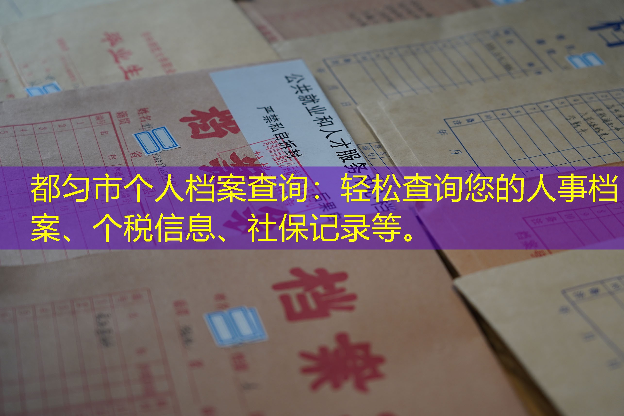 档案查询