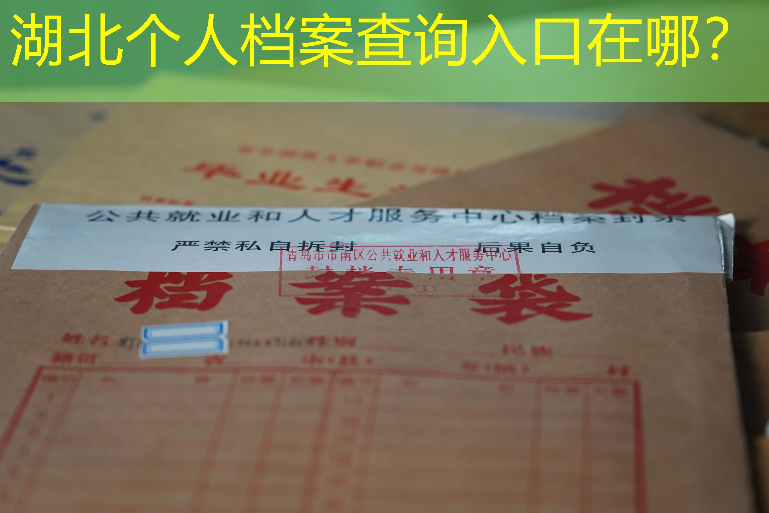 档案查询