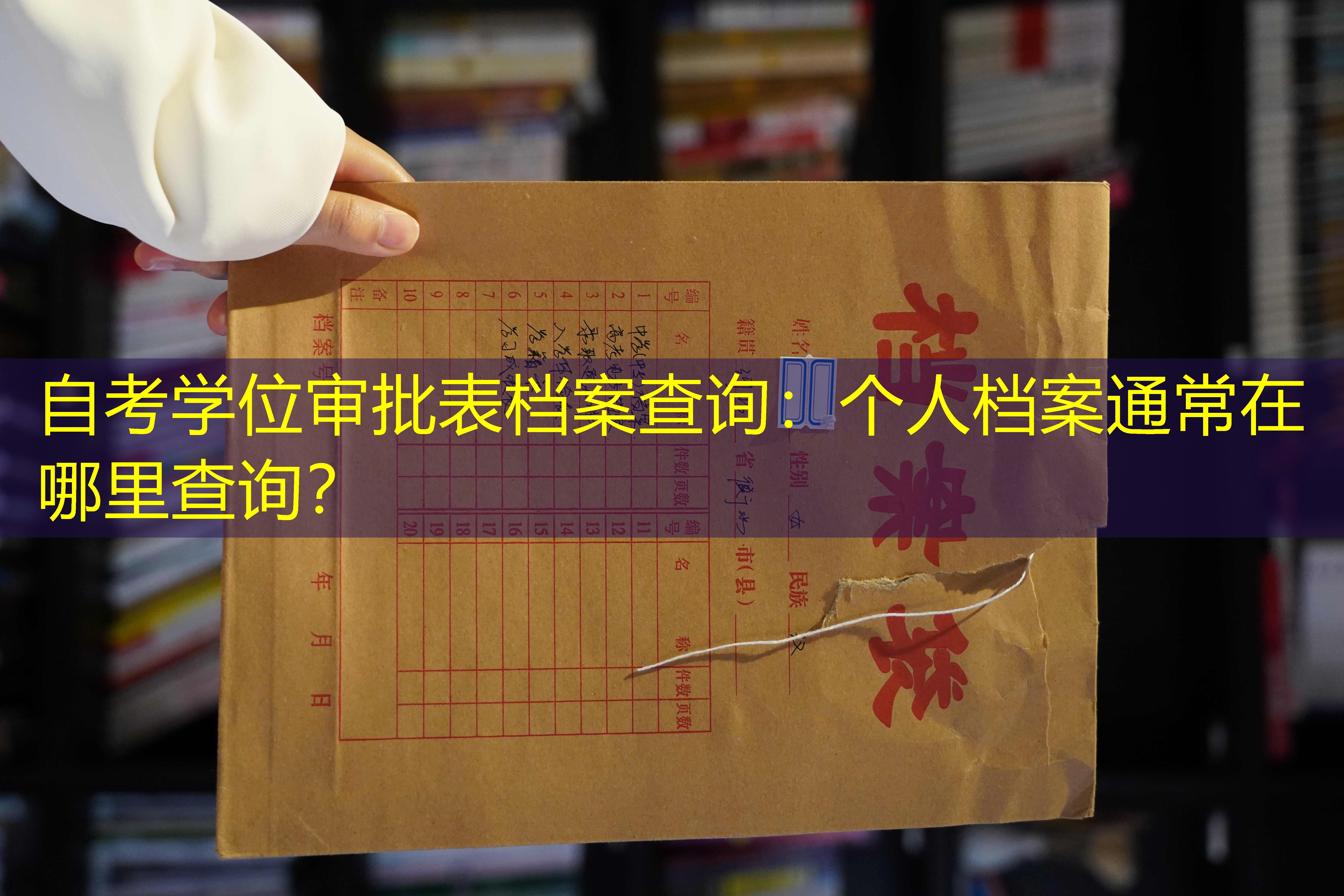 档案查询