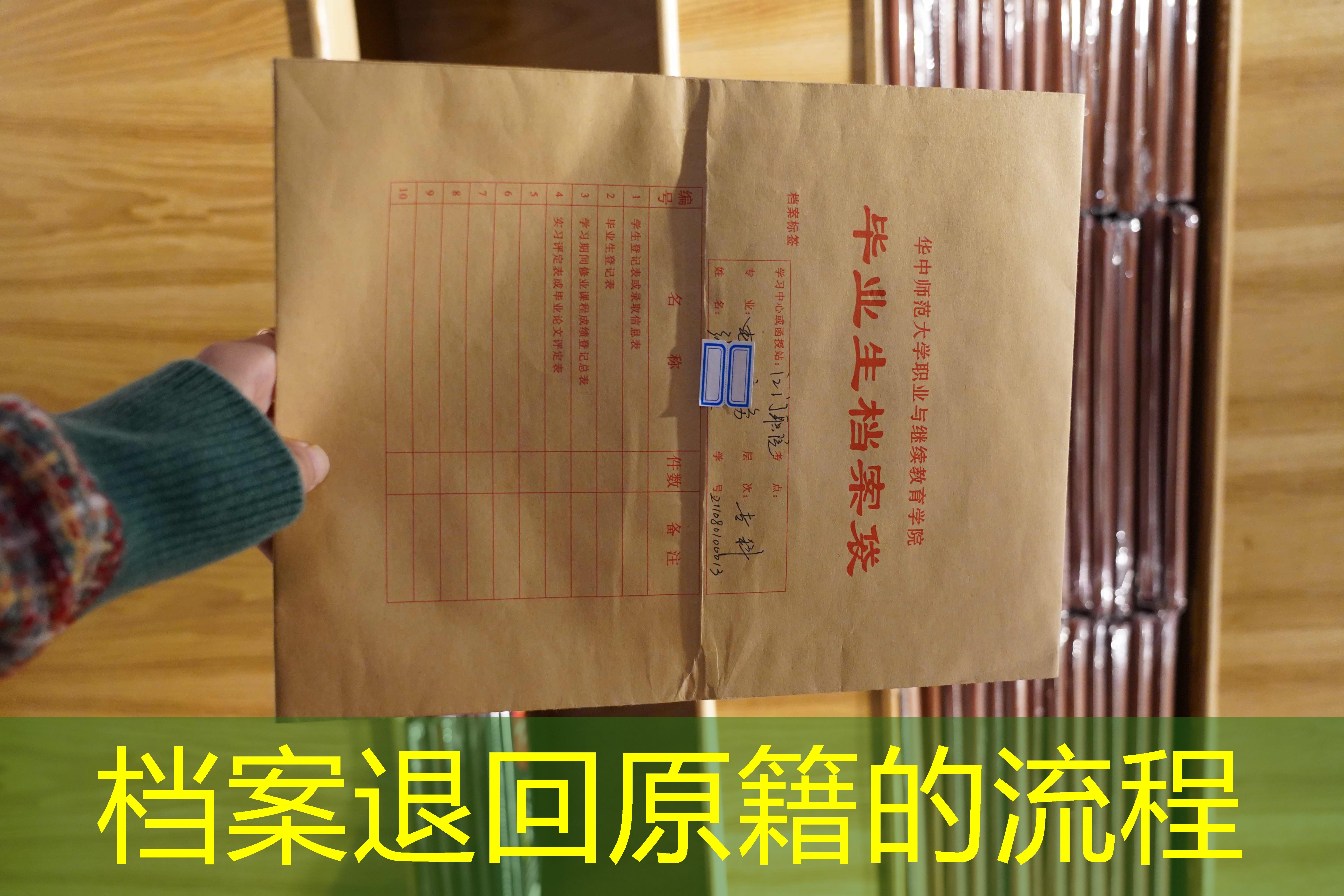 档案查询
