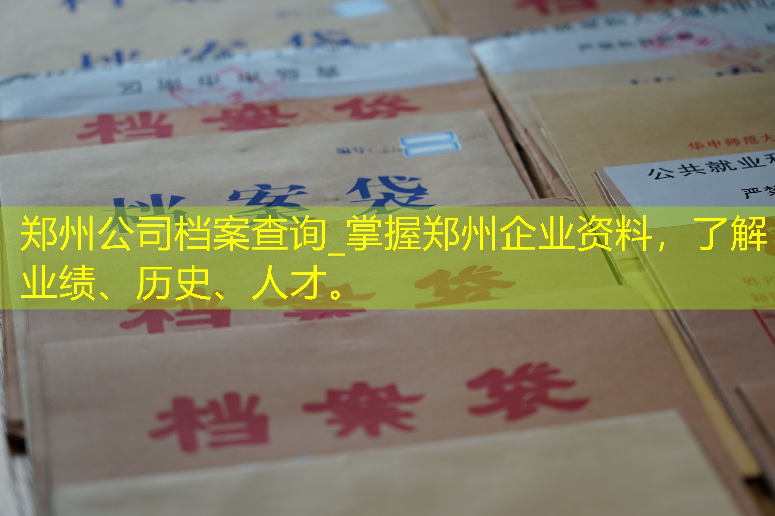 档案查询
