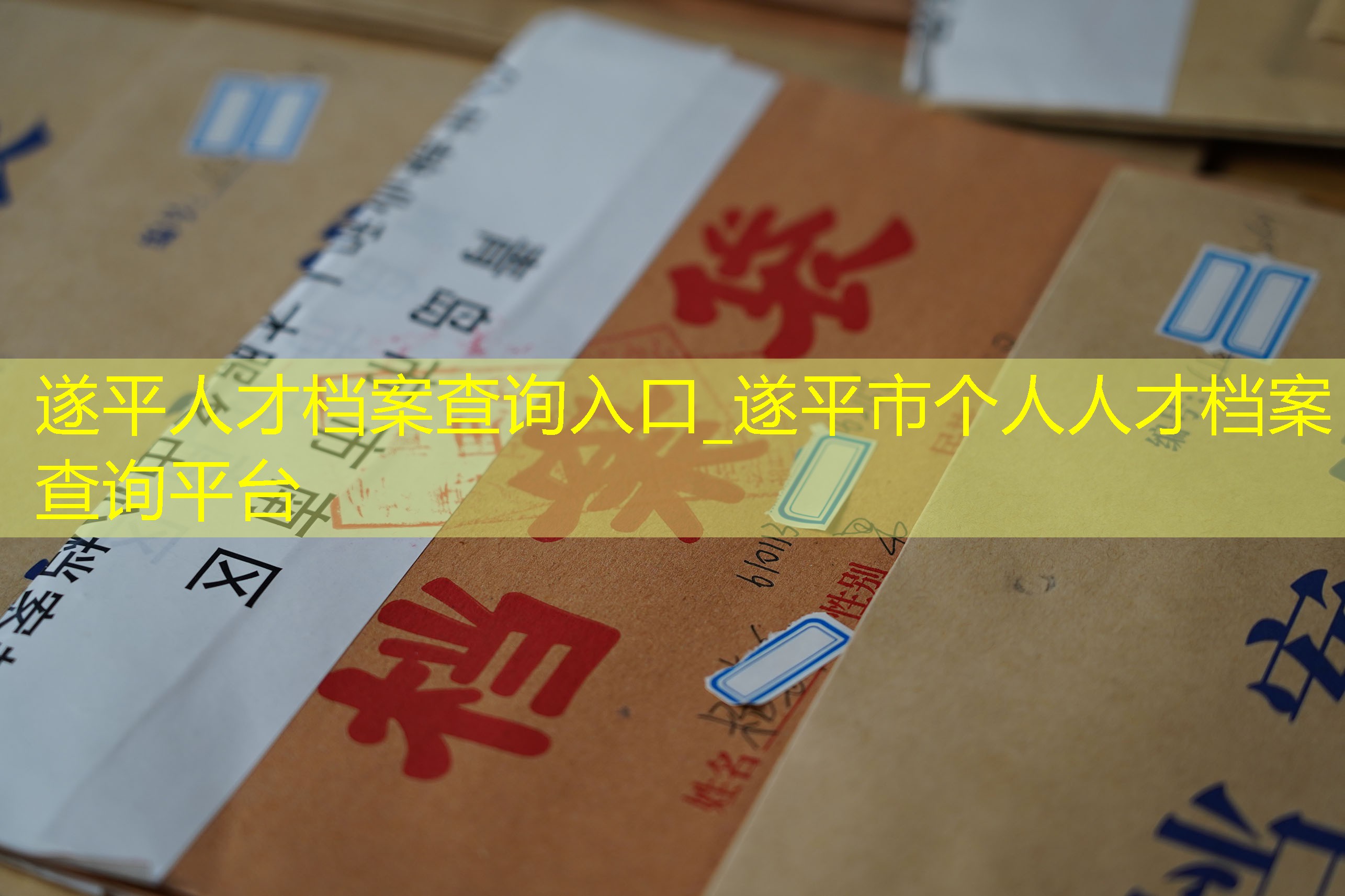 档案查询