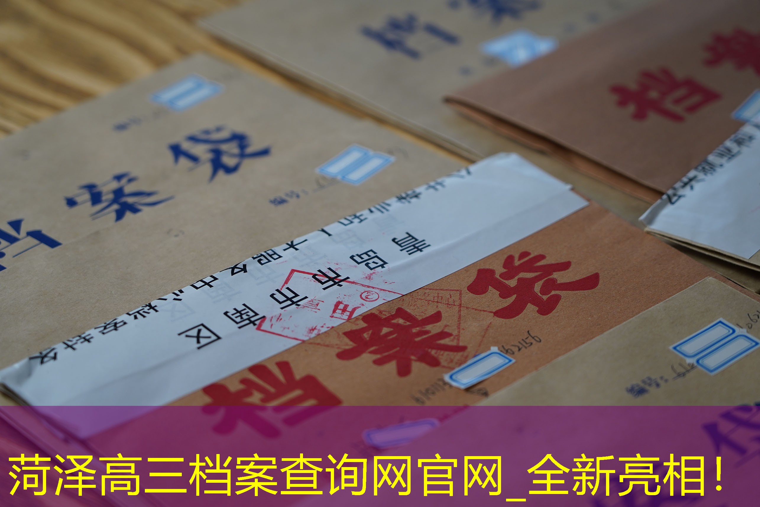 档案查询