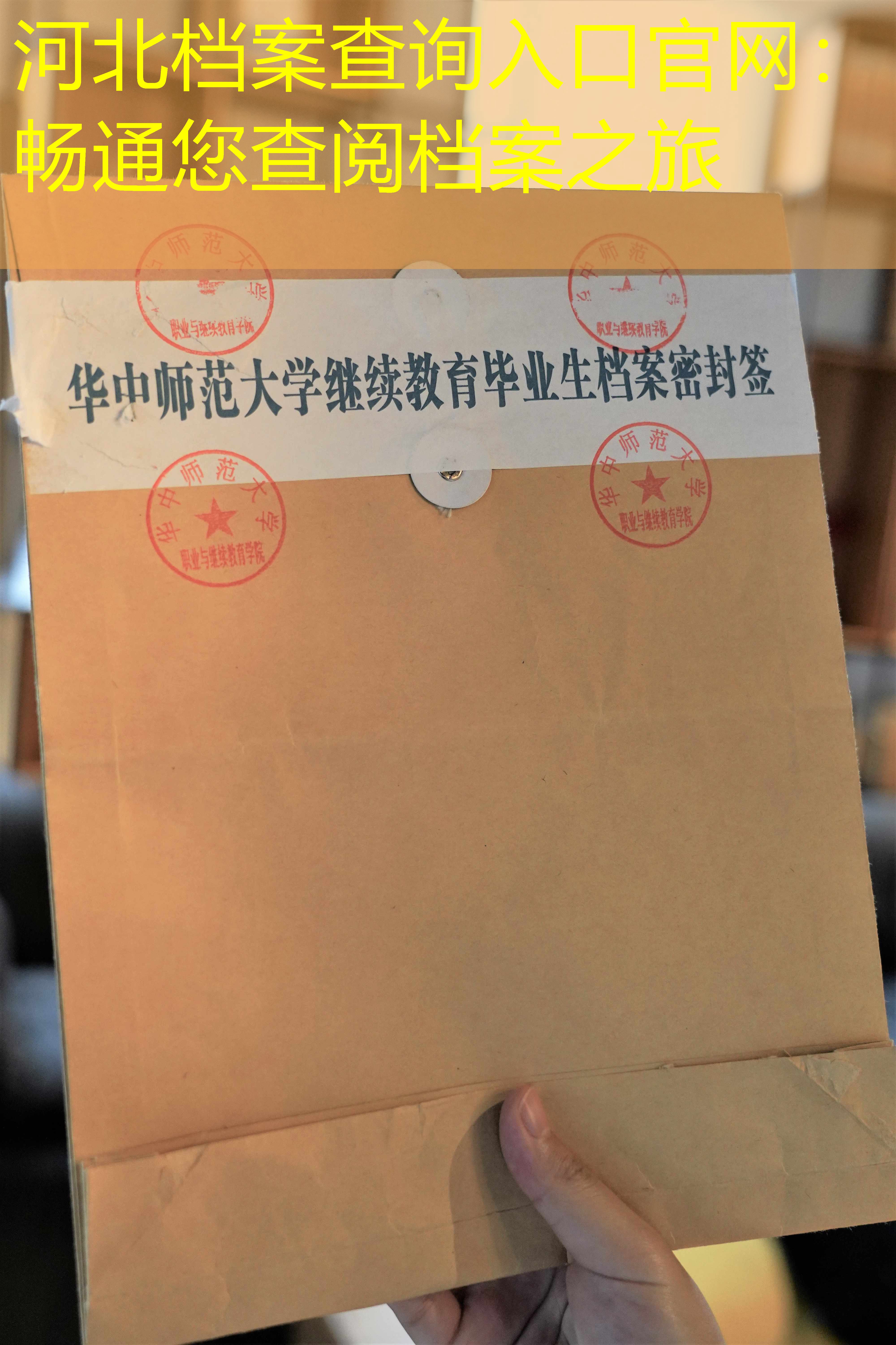 档案查询