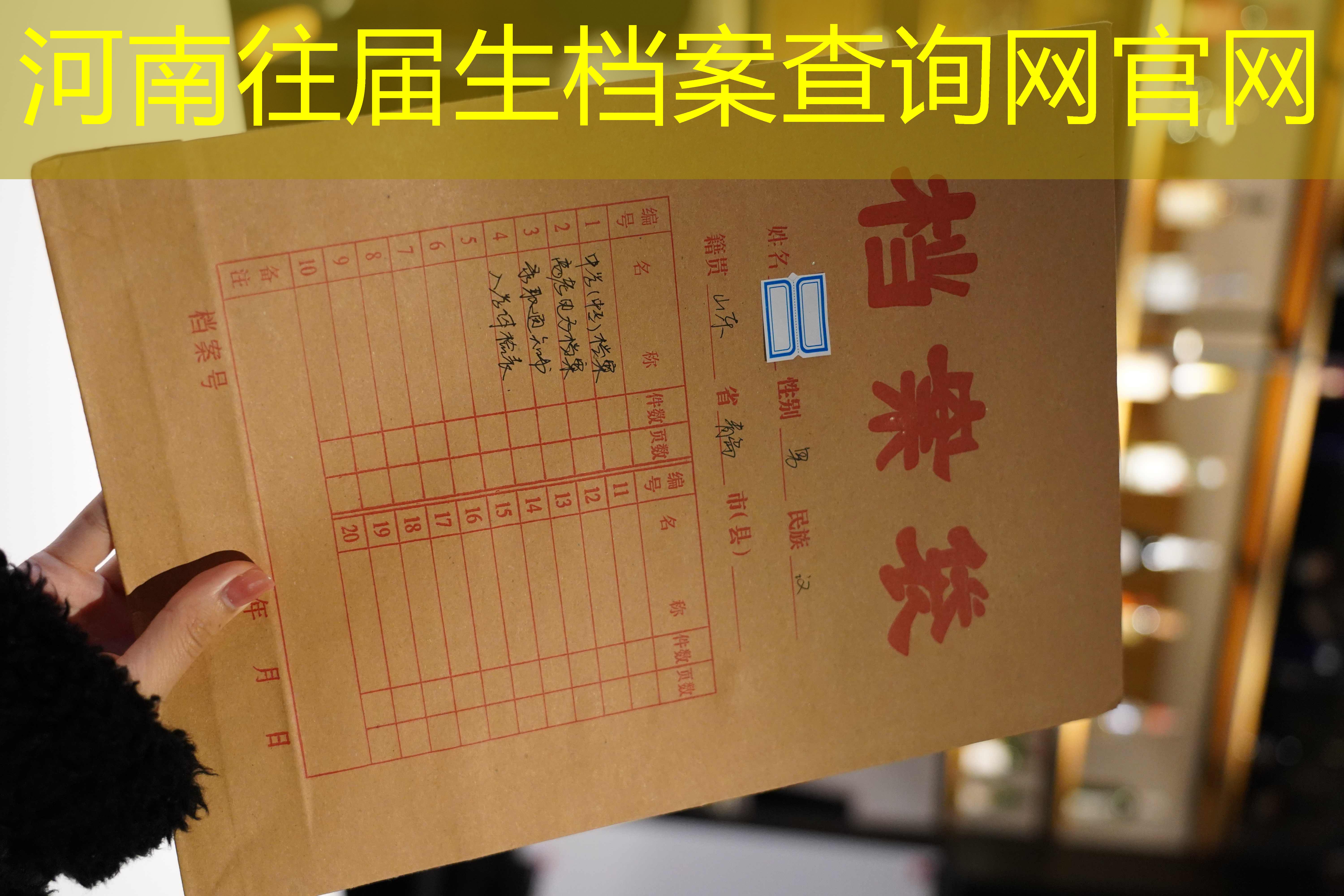 档案查询