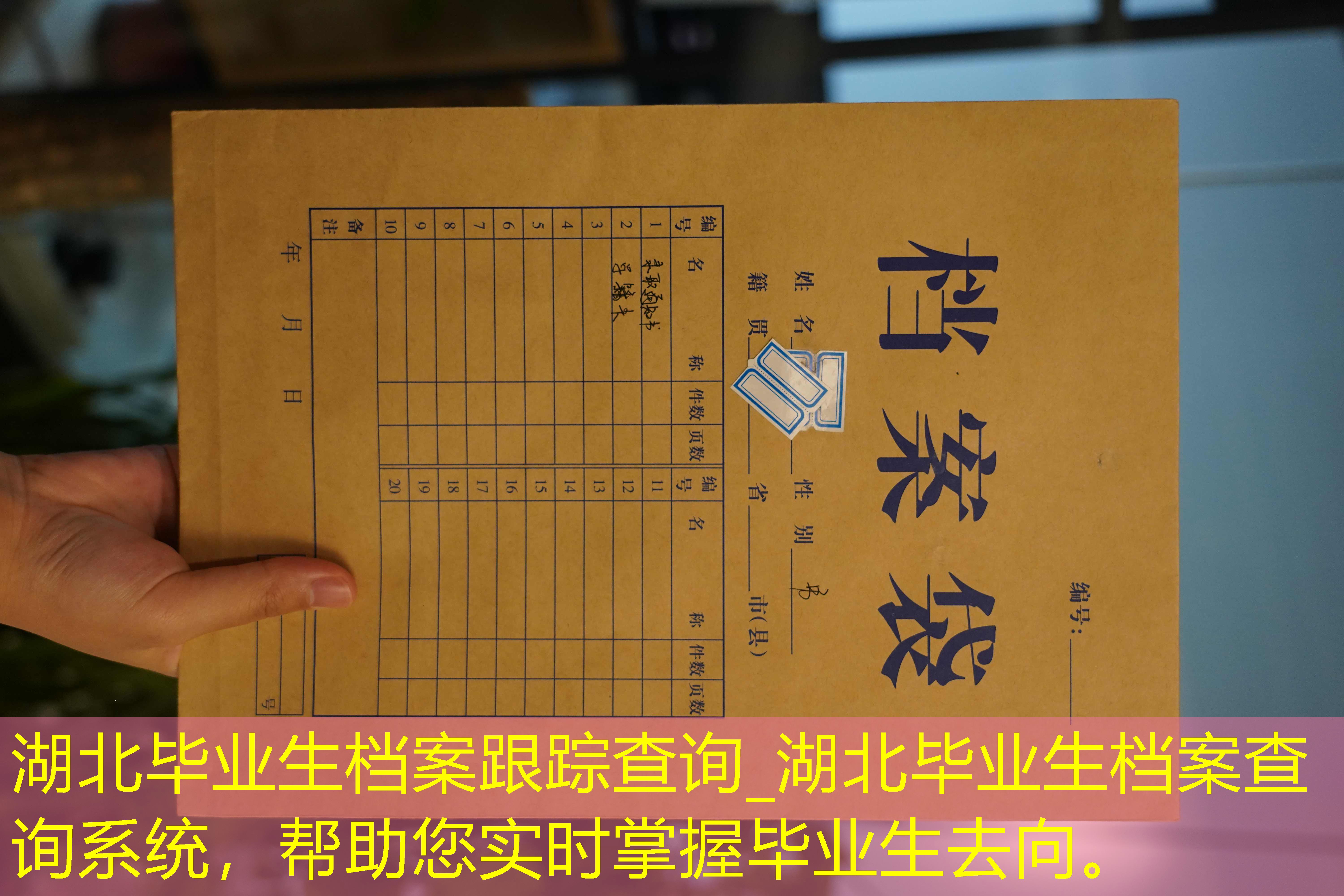 档案查询