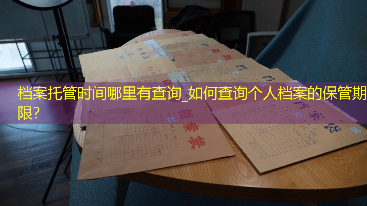 档案查询