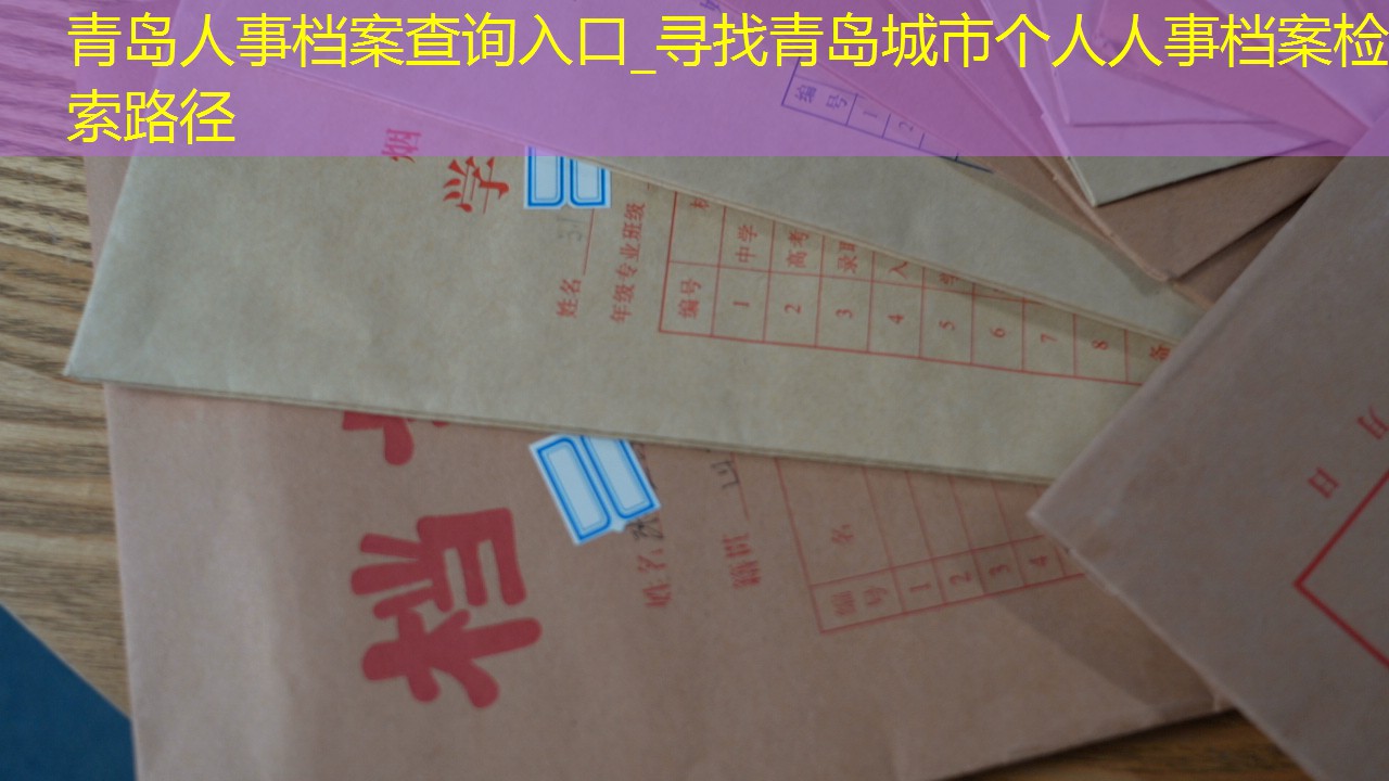 档案查询