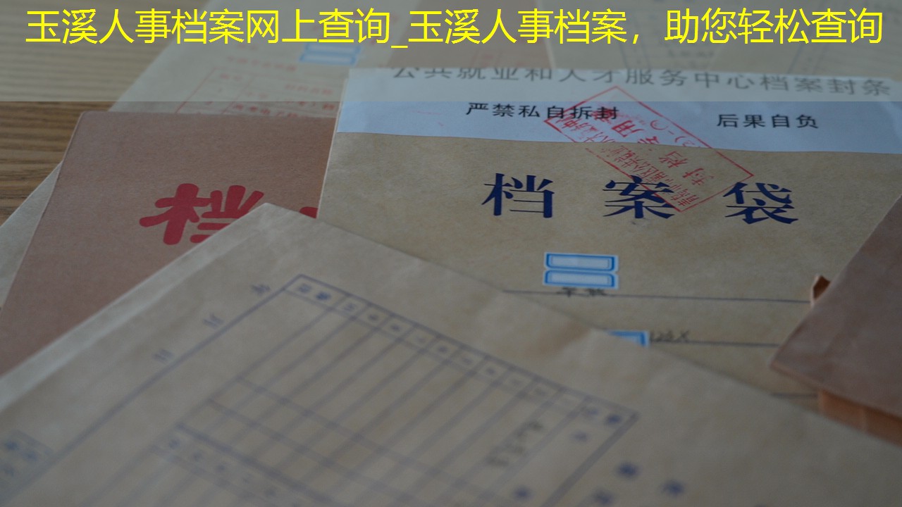 档案查询