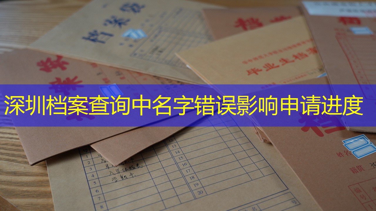 档案查询