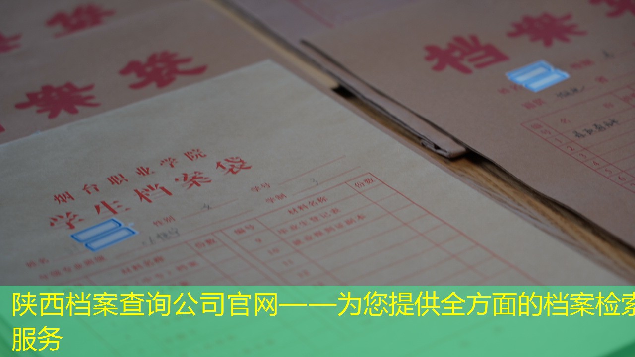 档案查询