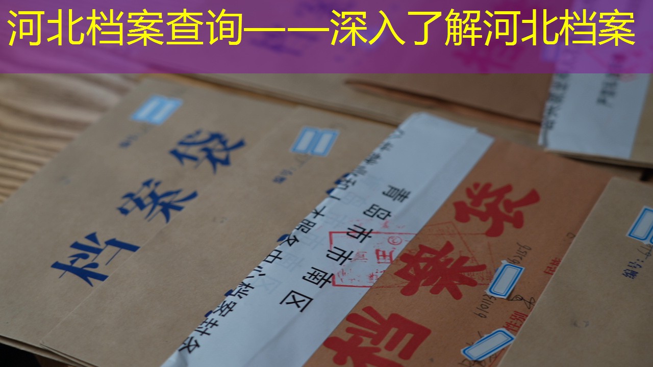 档案查询