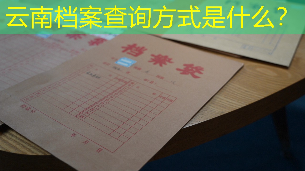 档案查询