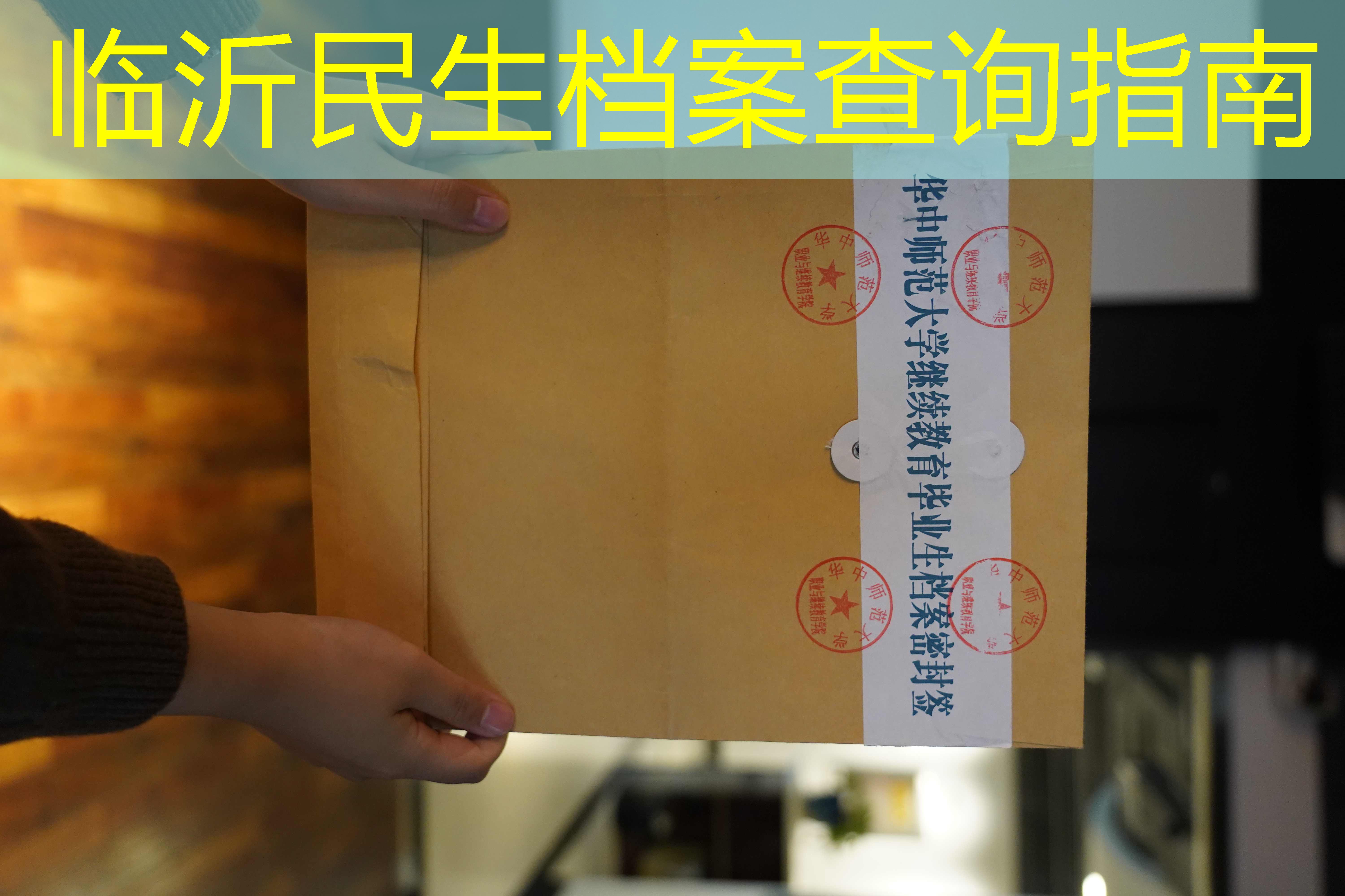 档案查询
