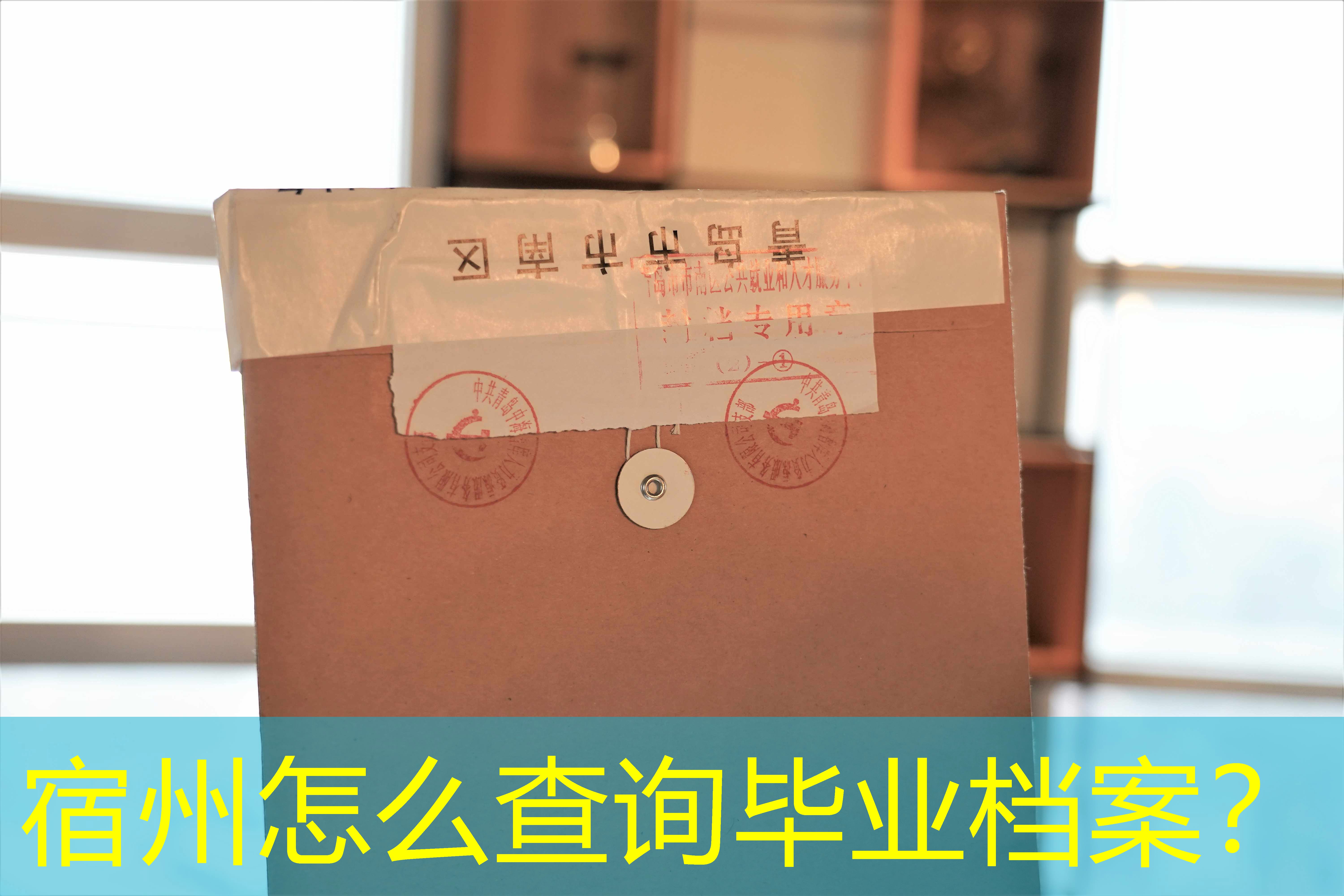 档案查询