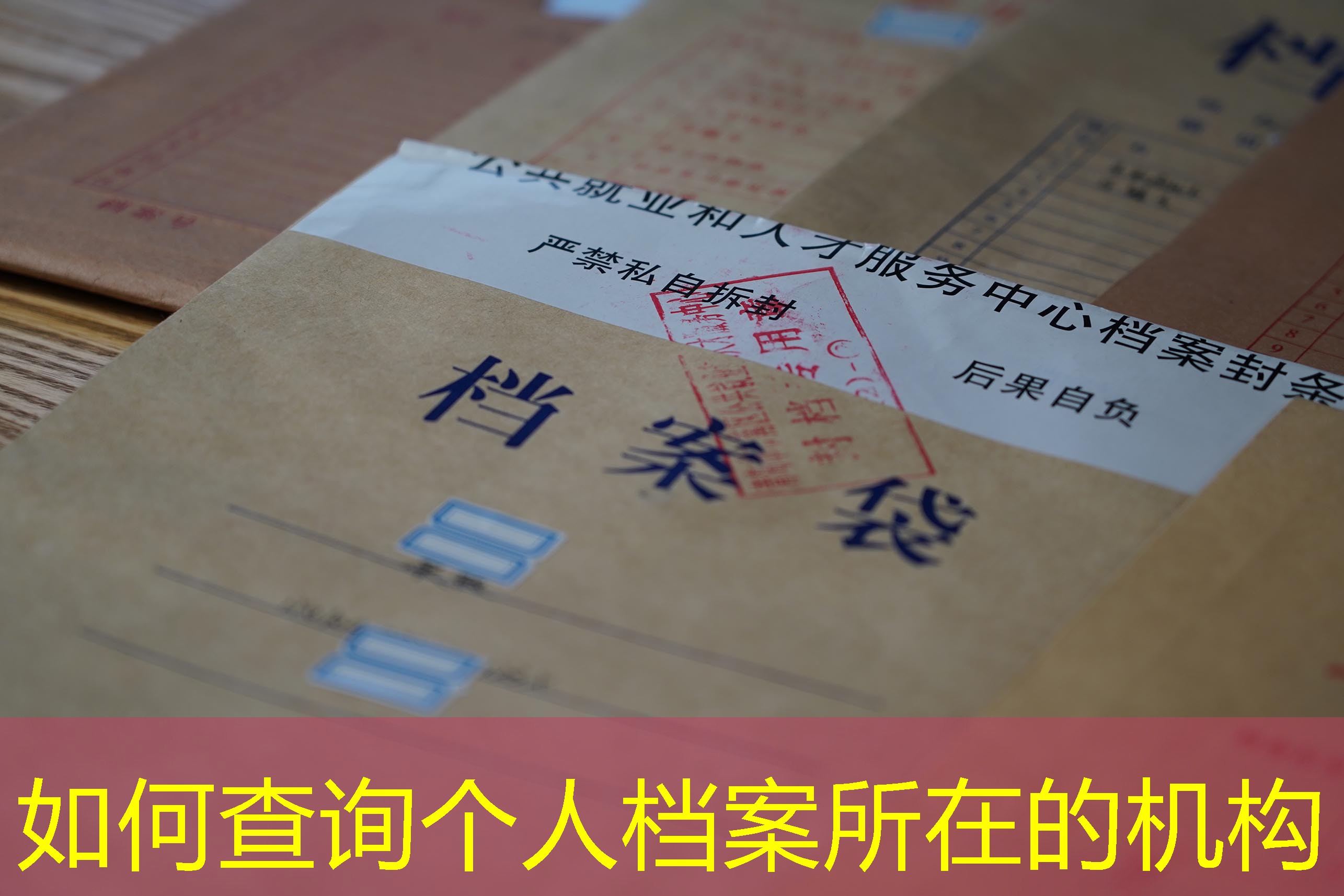 档案查询