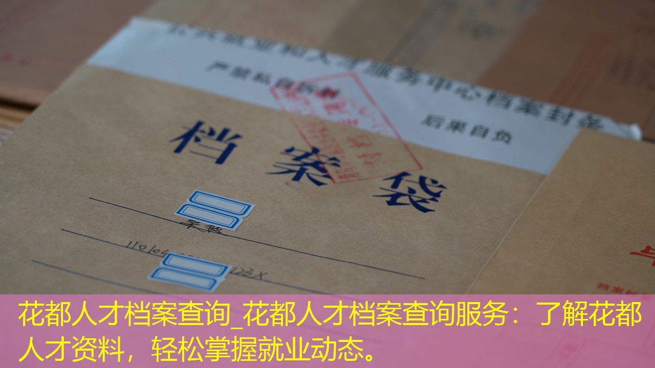 档案查询