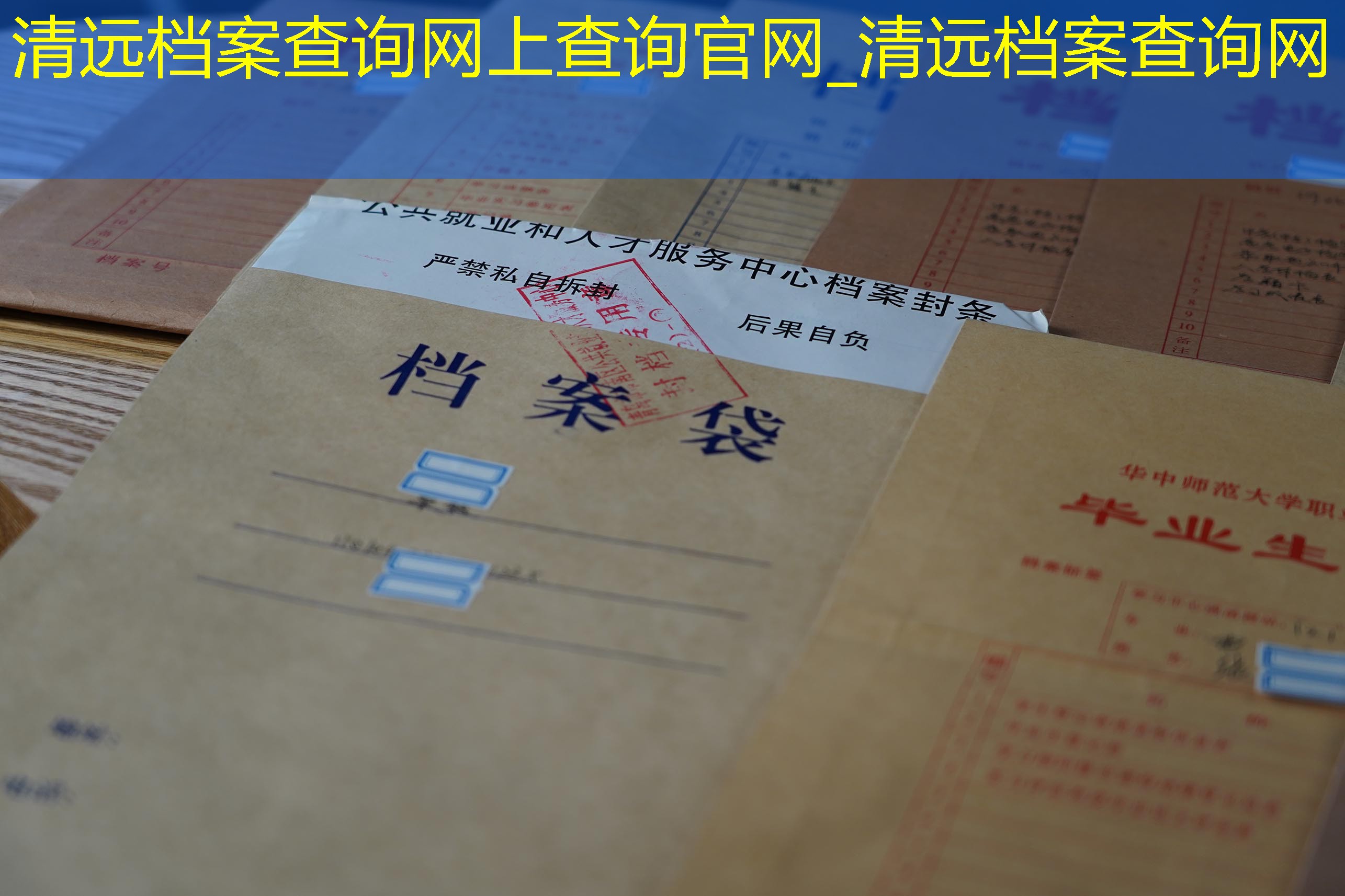 档案查询