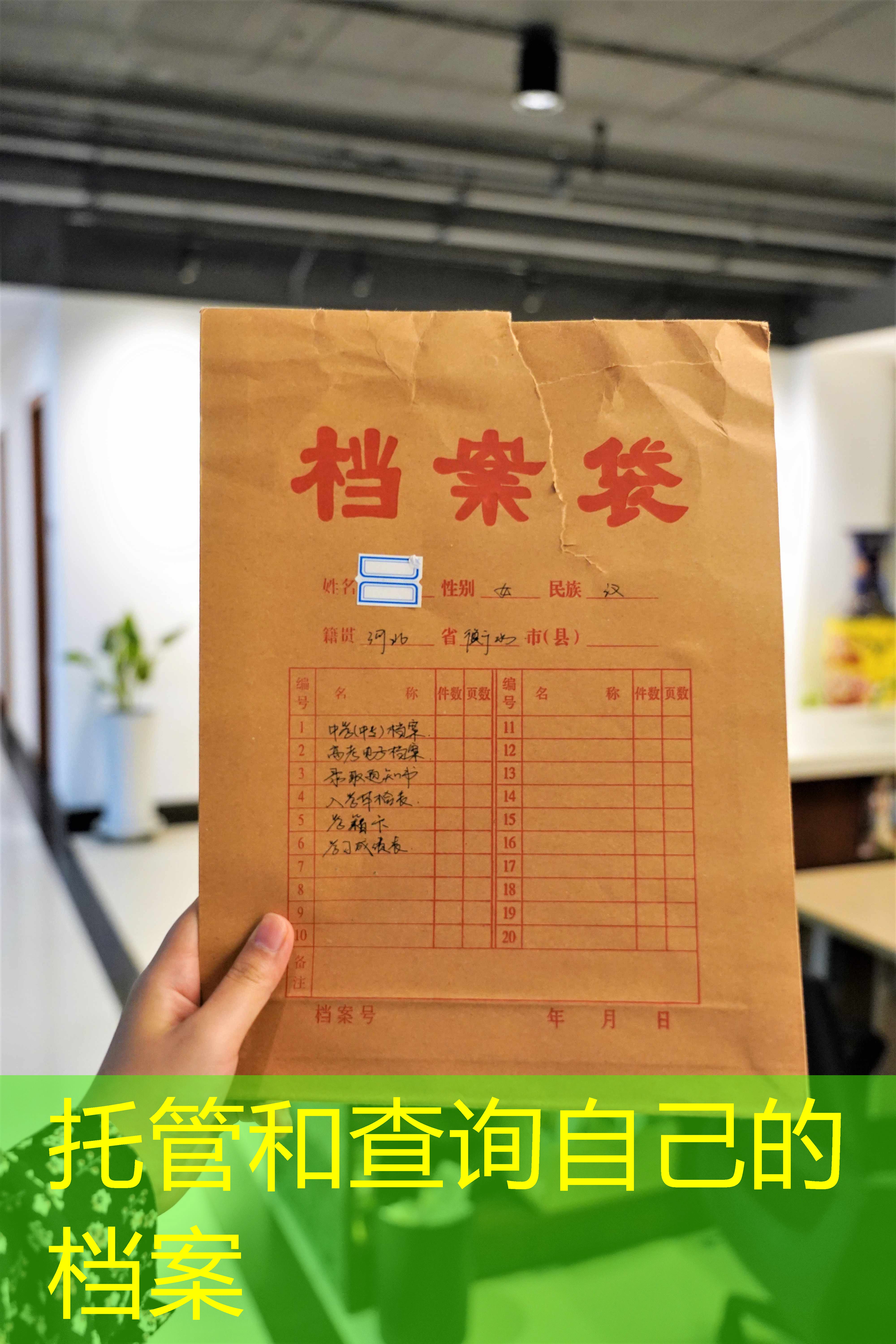 档案查询