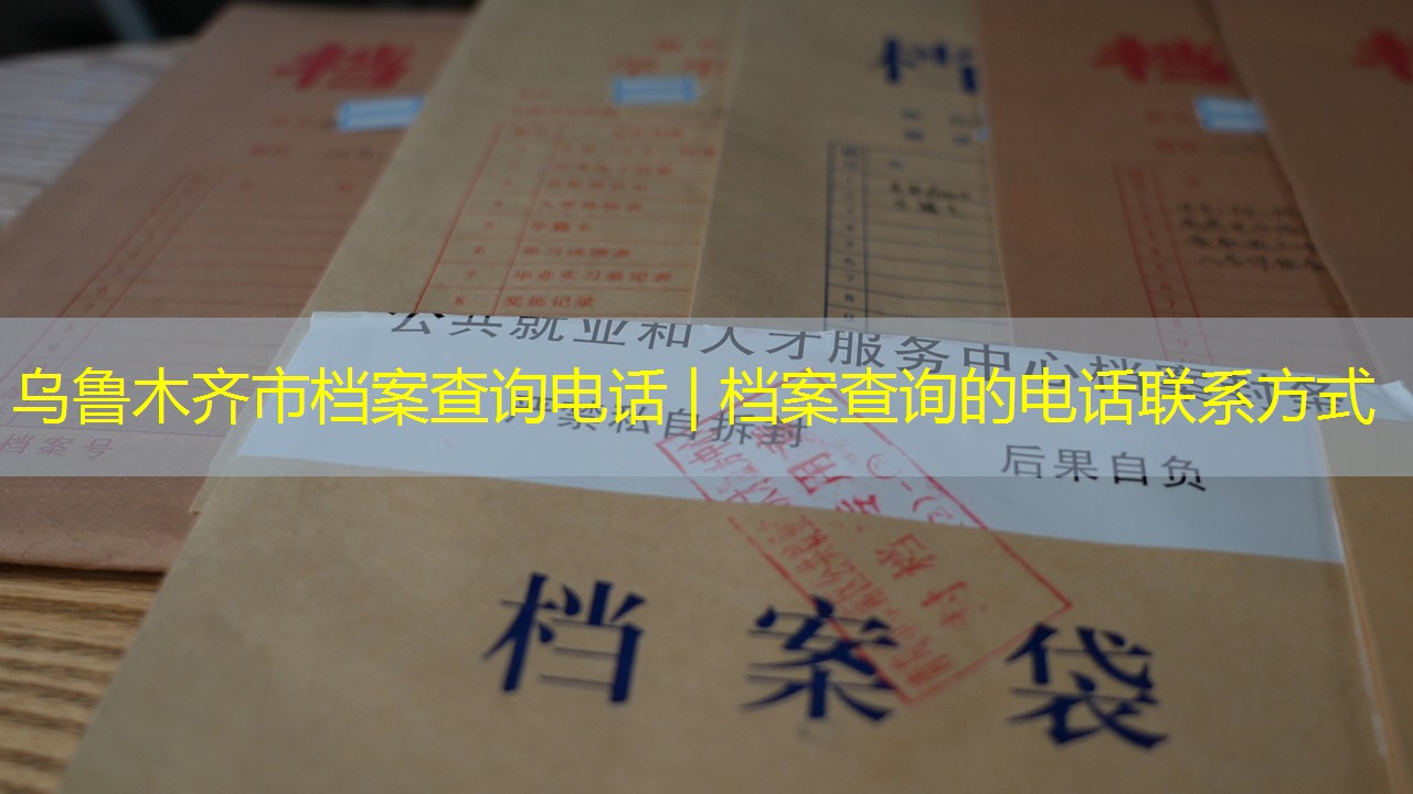 档案查询