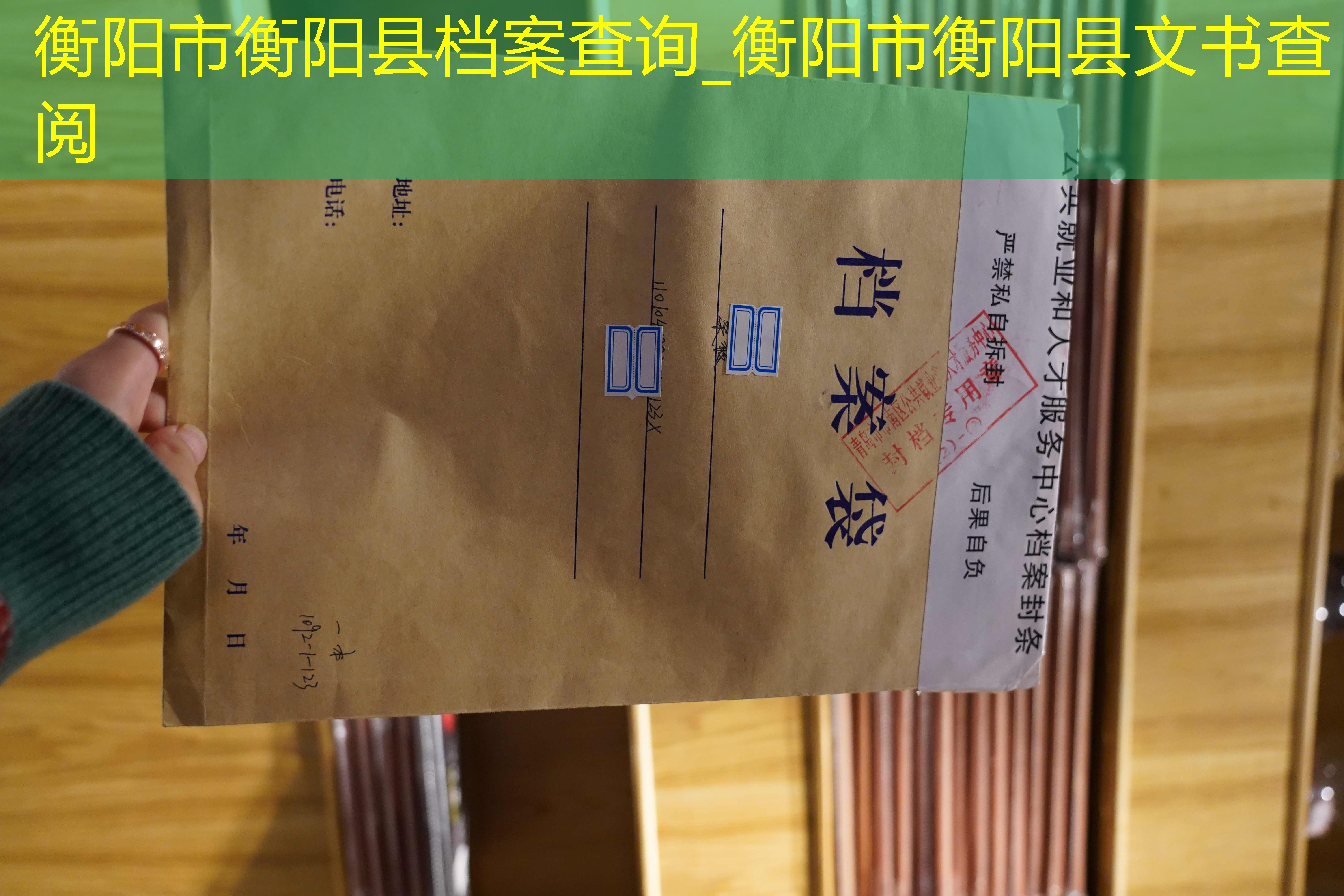 档案查询