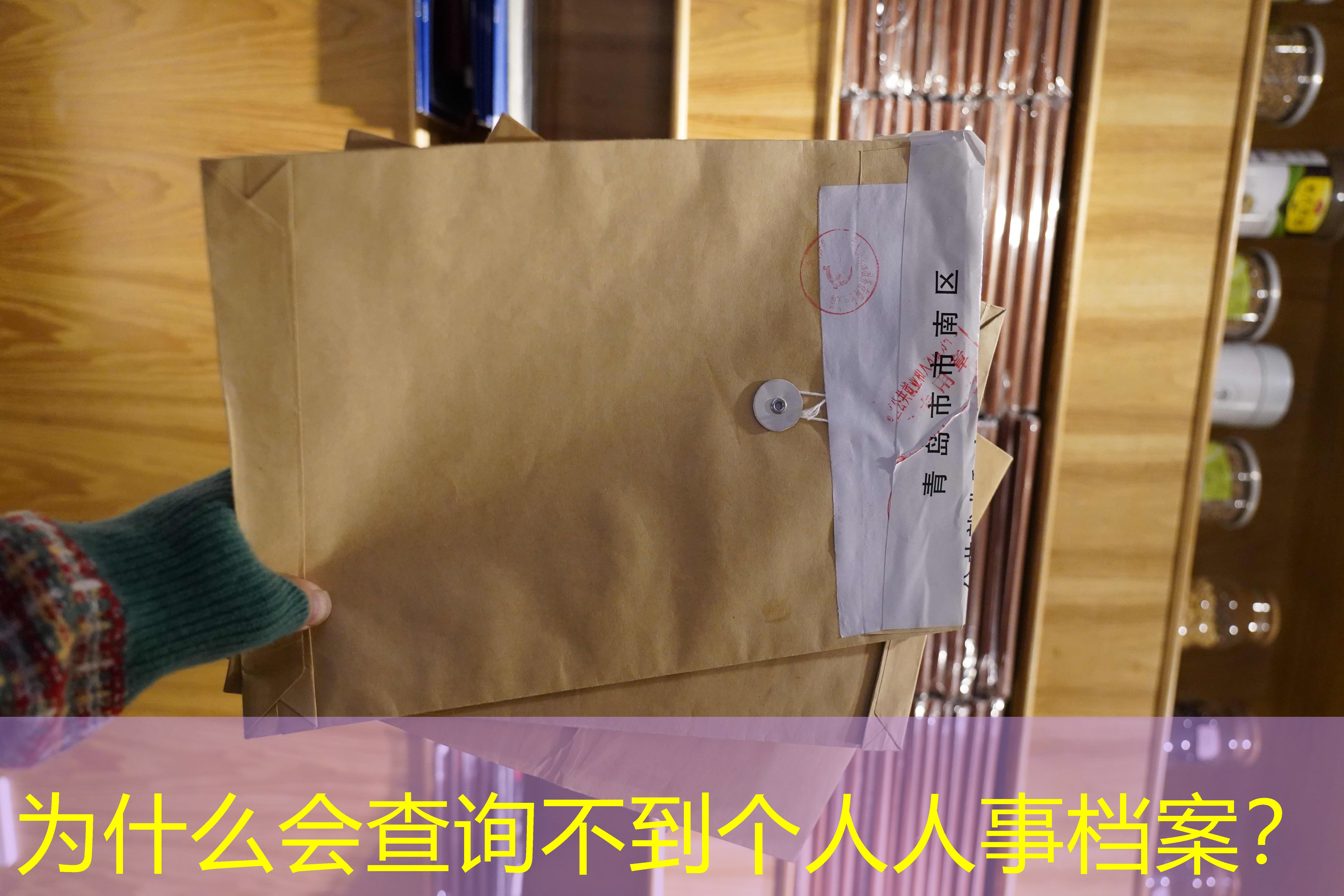档案查询