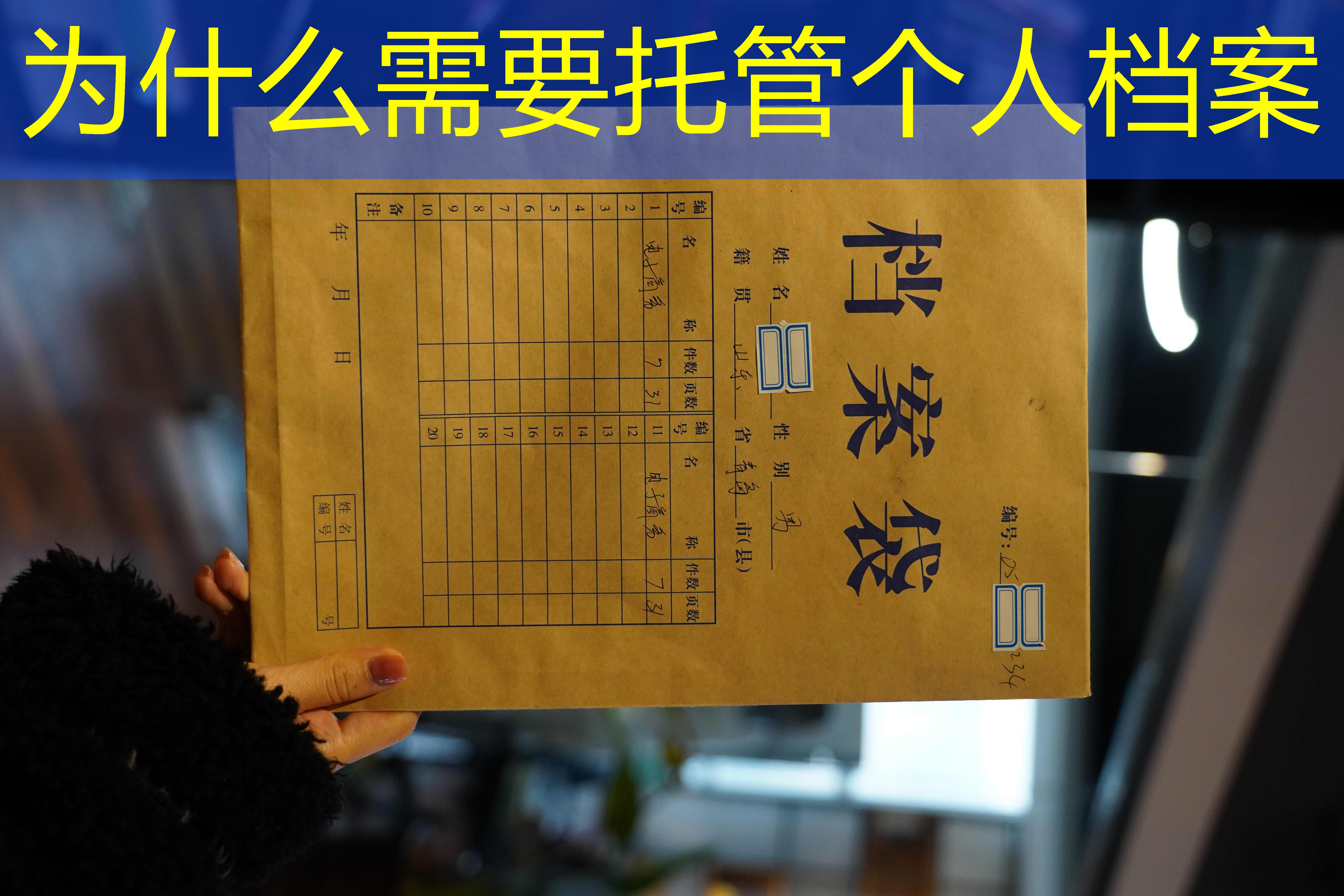 档案查询