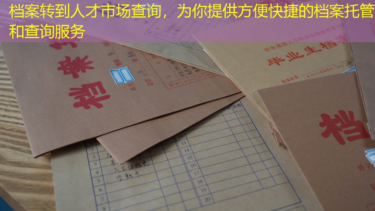 档案查询