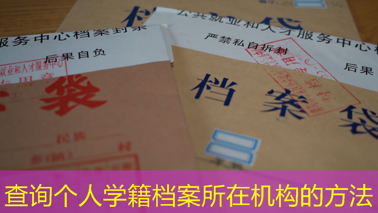 档案查询