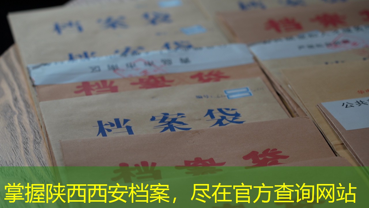 档案查询