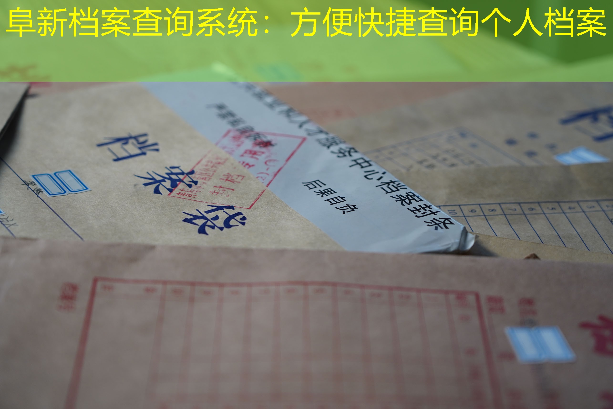 档案查询