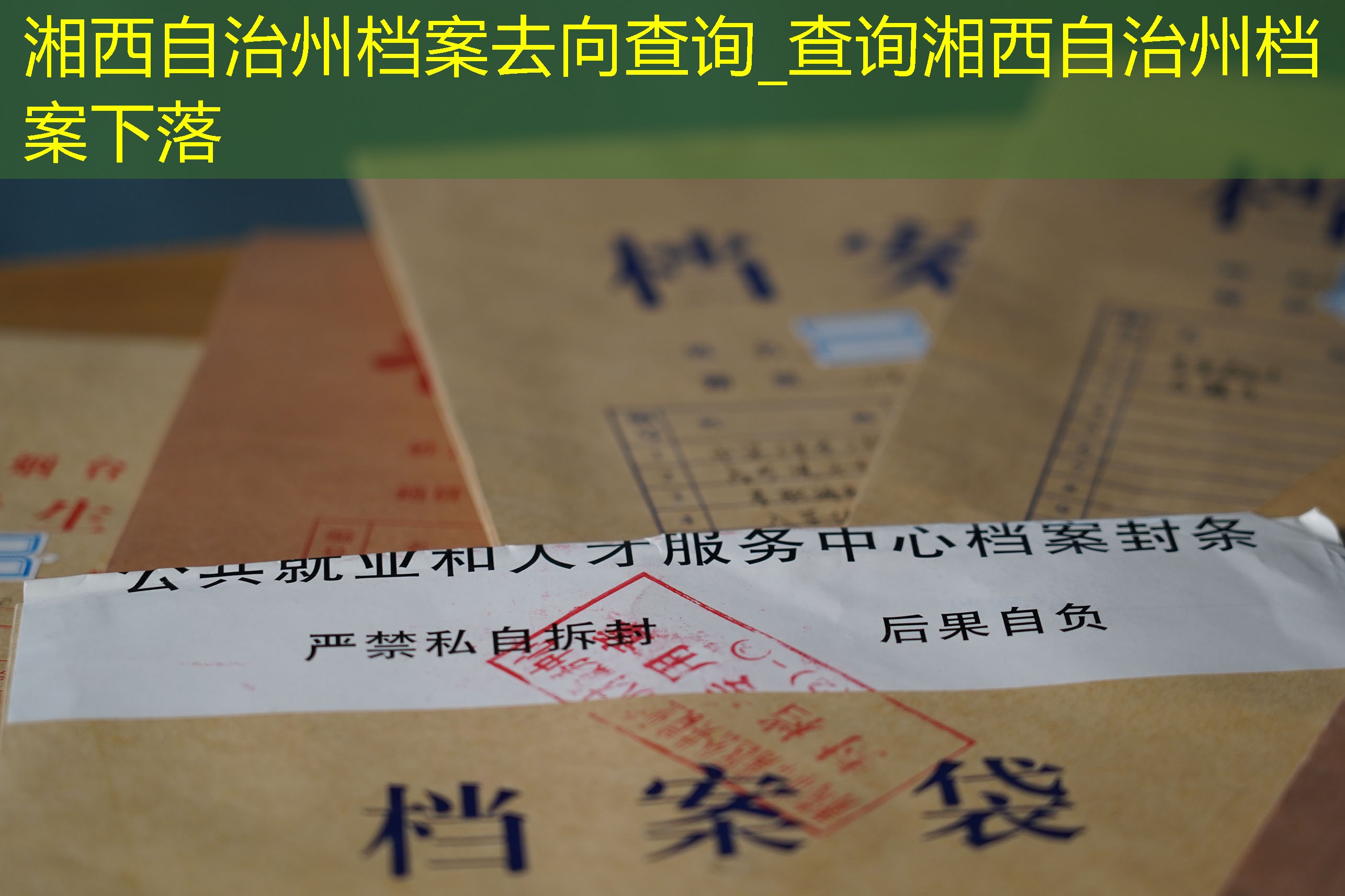 档案查询