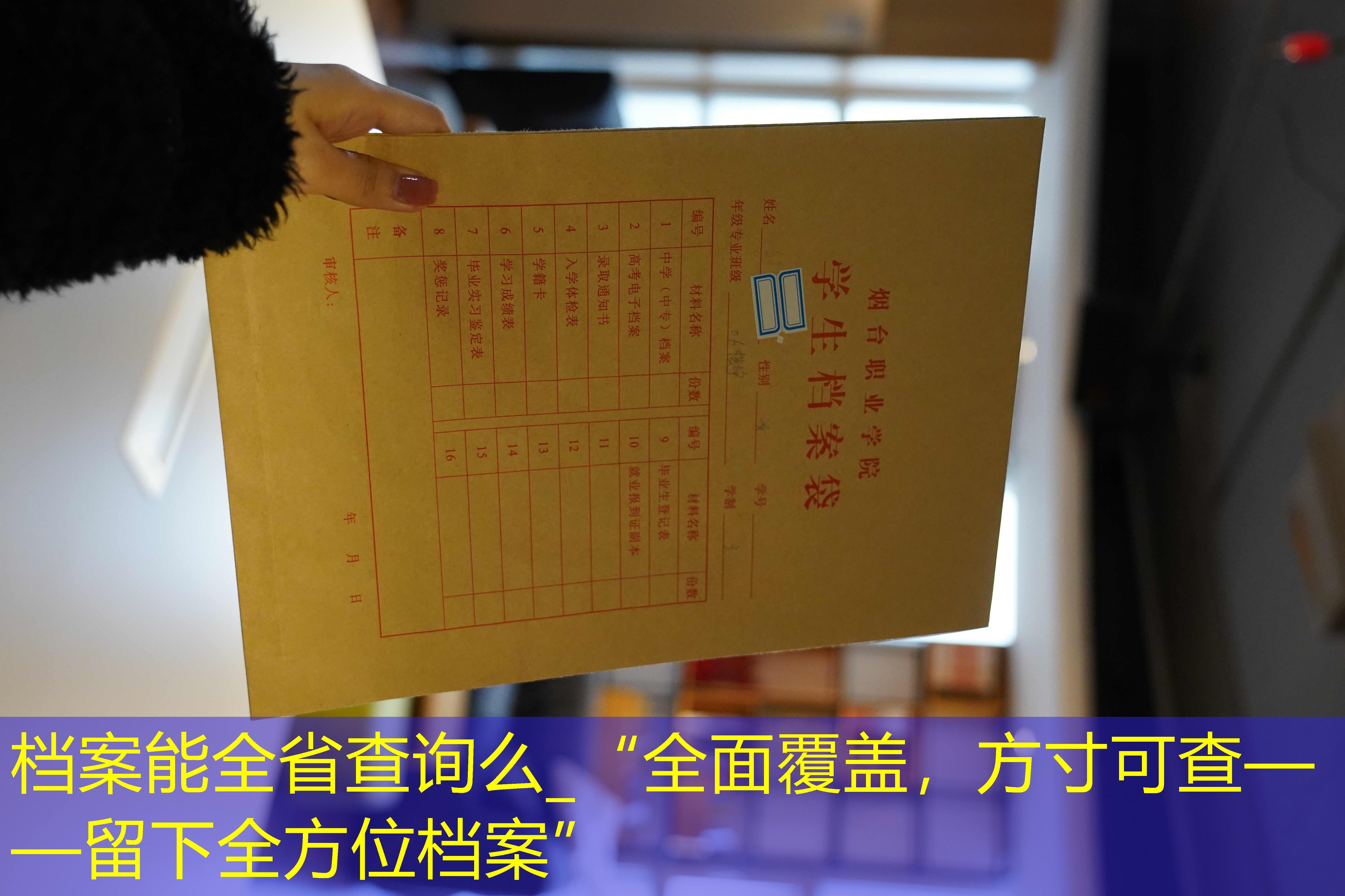 档案查询