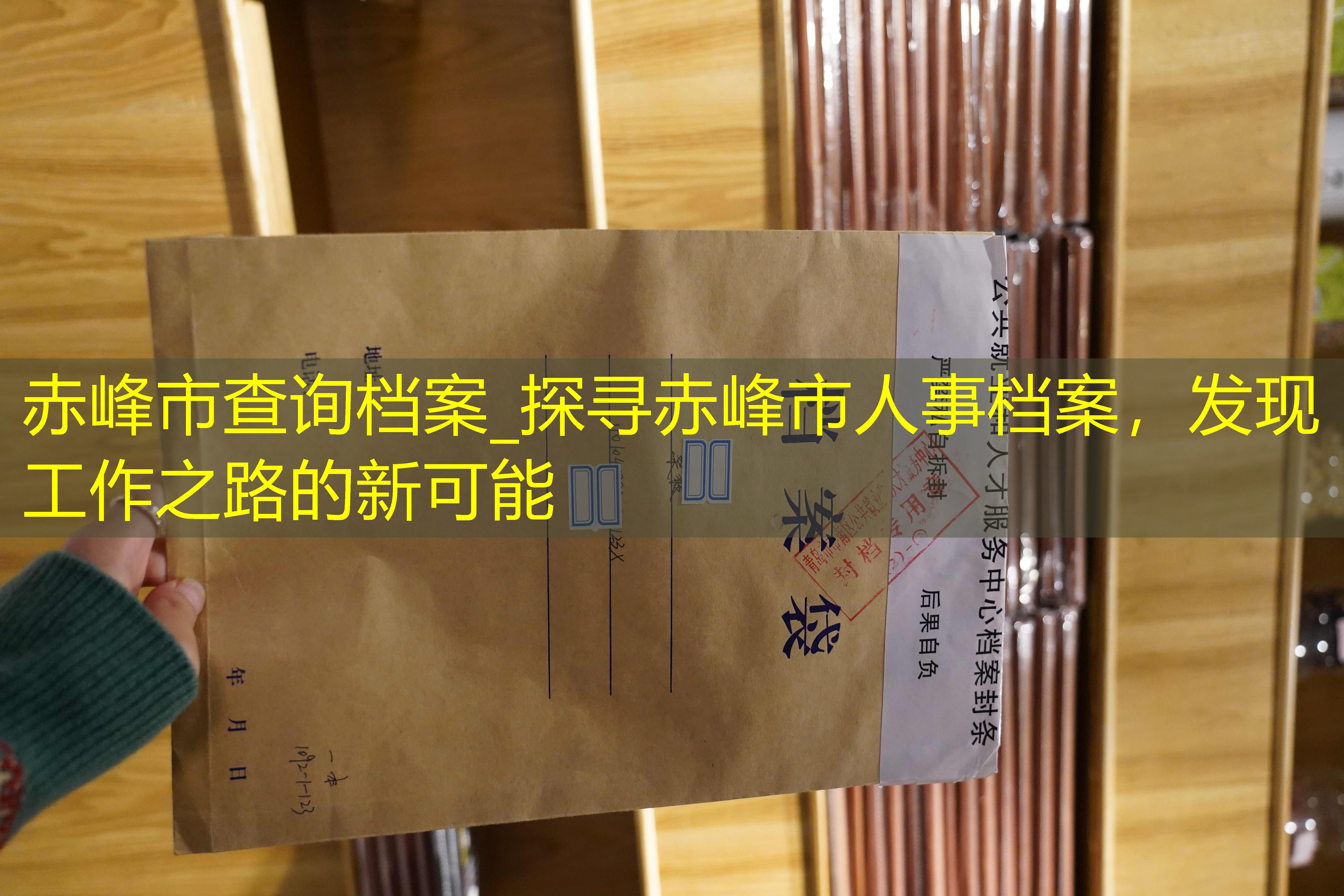 档案查询