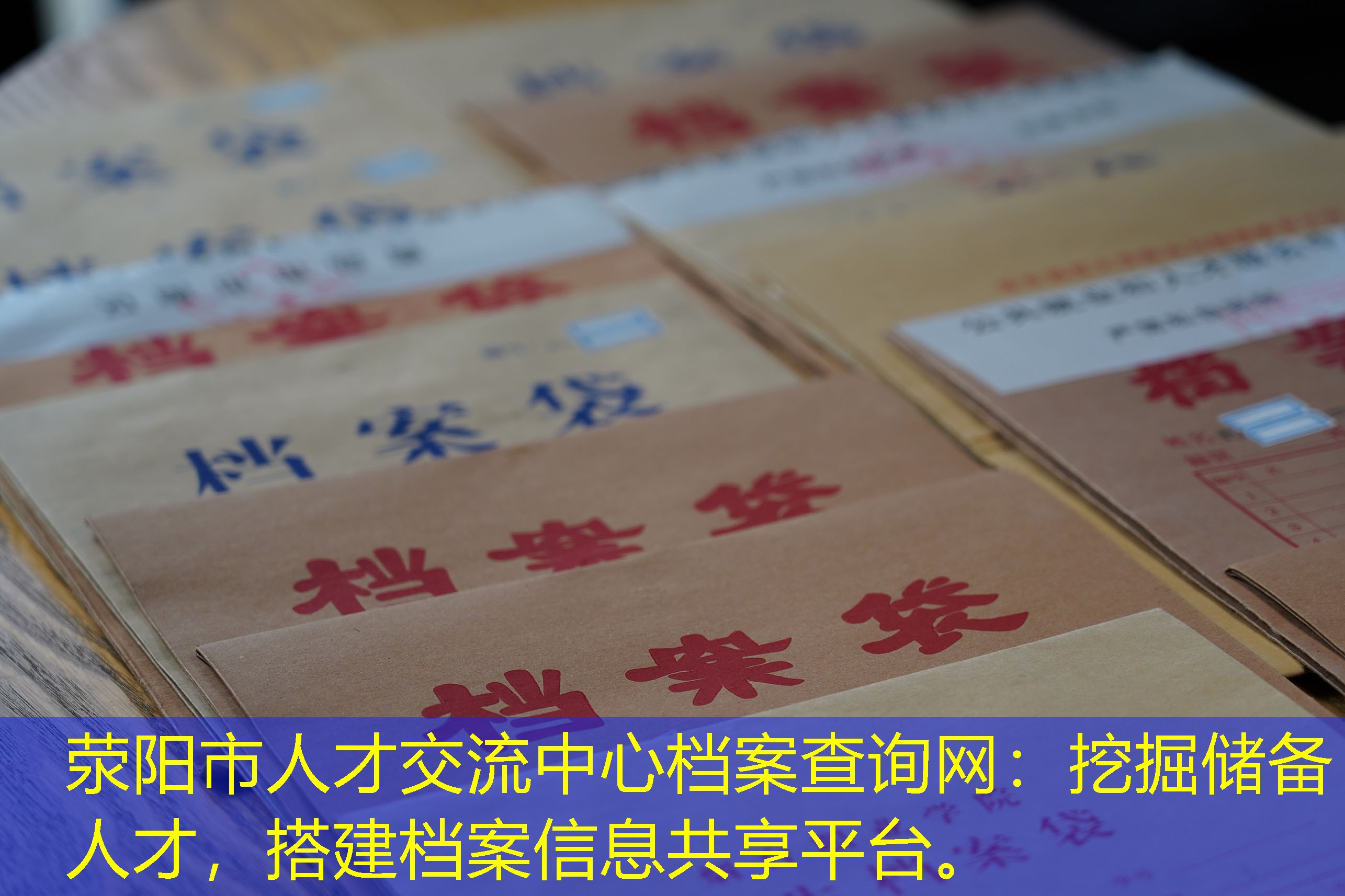 档案查询