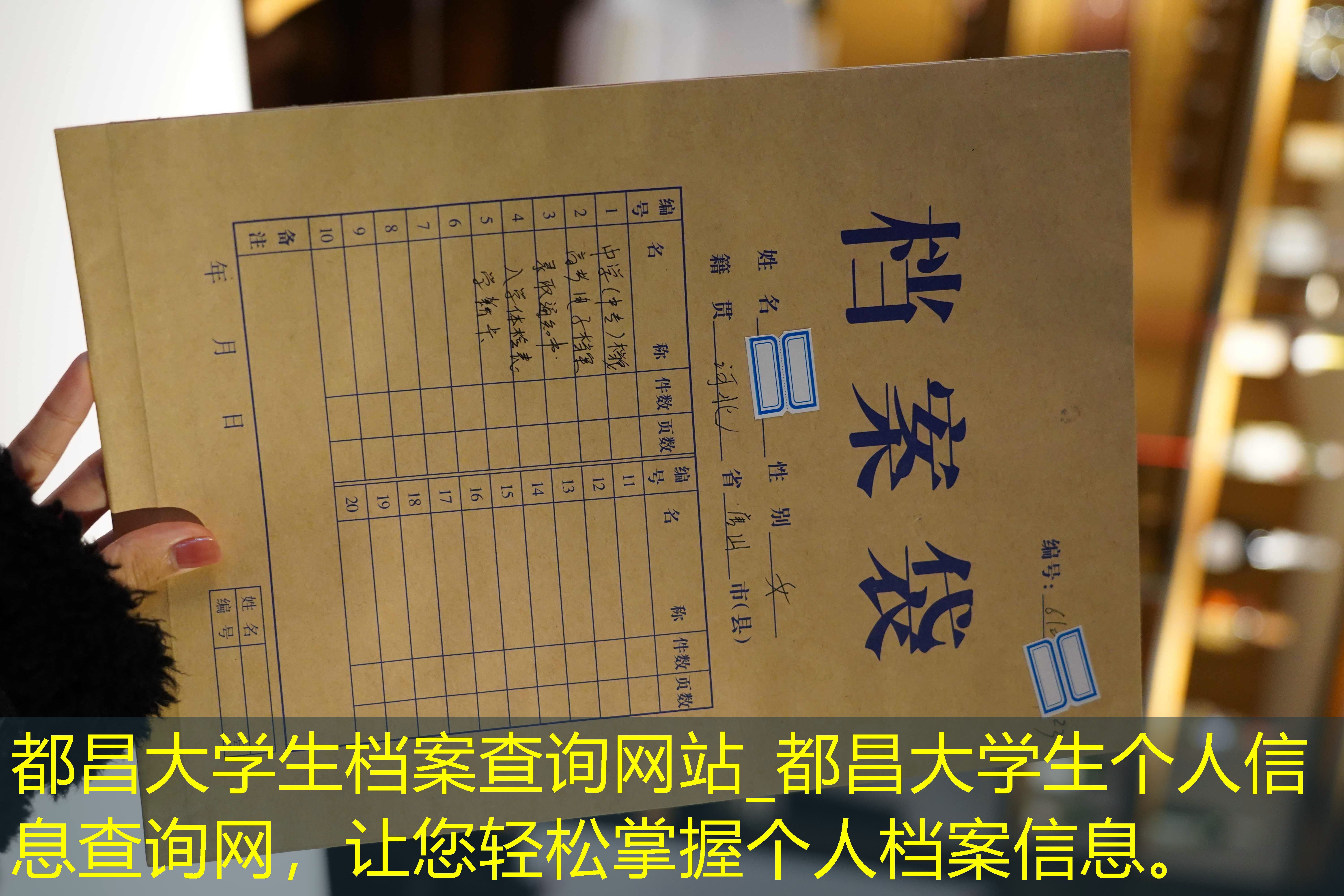 档案查询