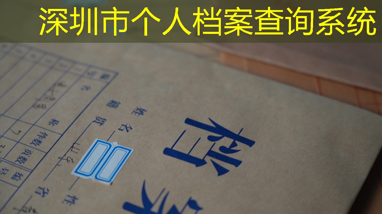 档案查询