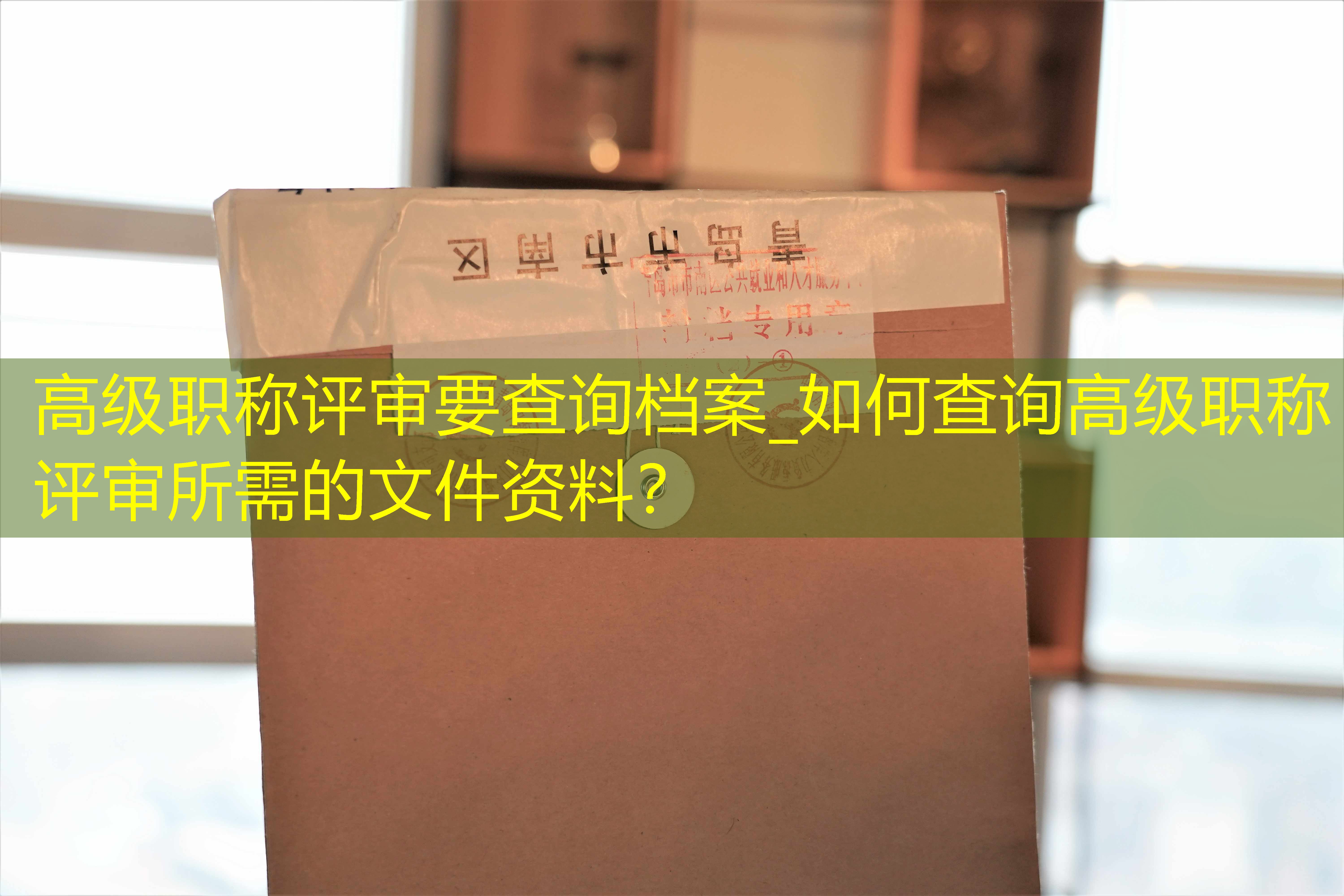 档案查询