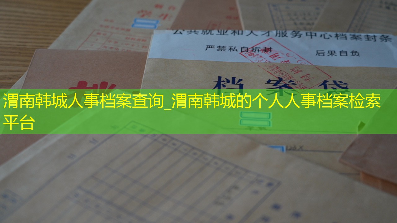 档案查询