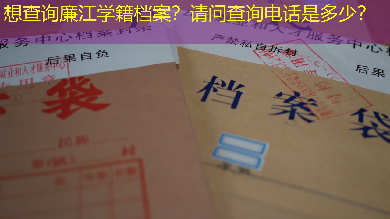 档案查询