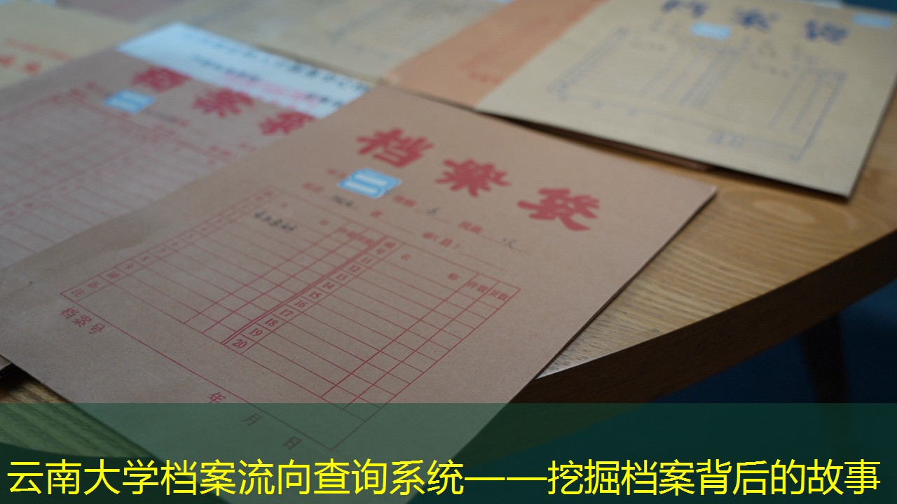 档案查询