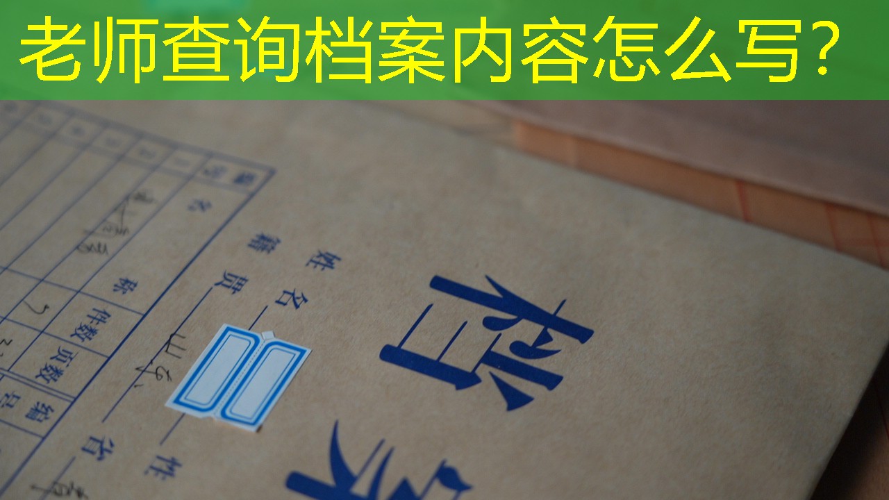 档案查询
