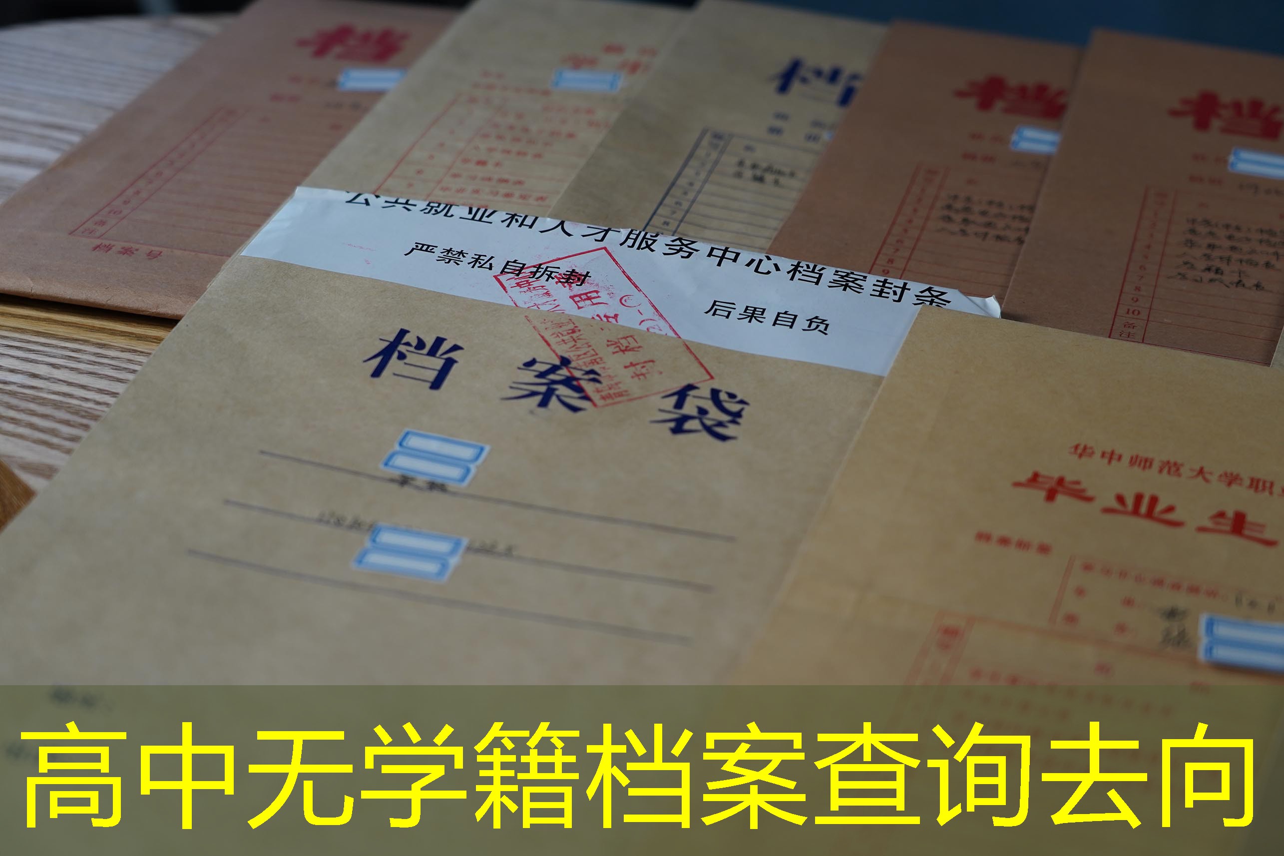 档案查询
