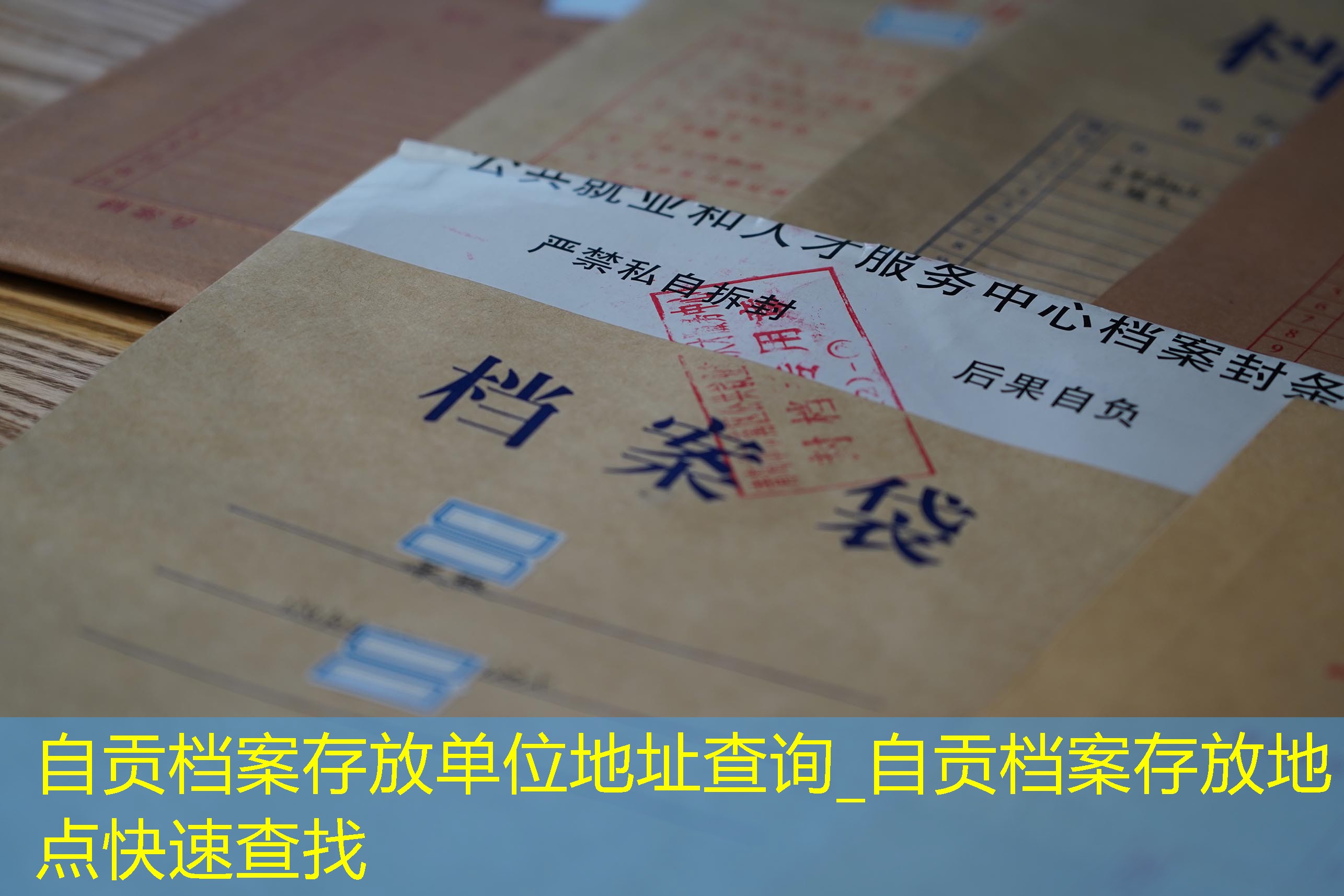 档案查询