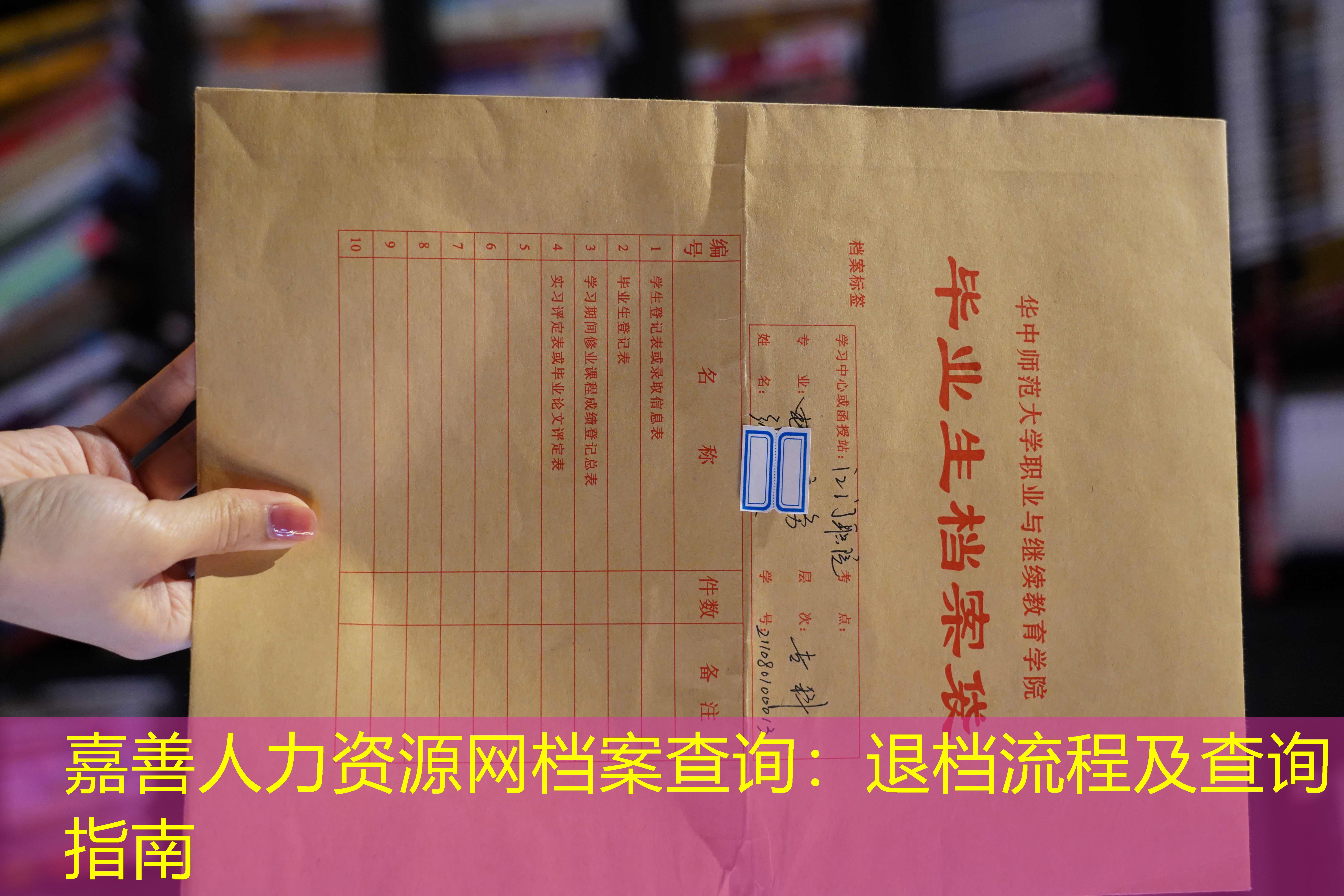 档案查询