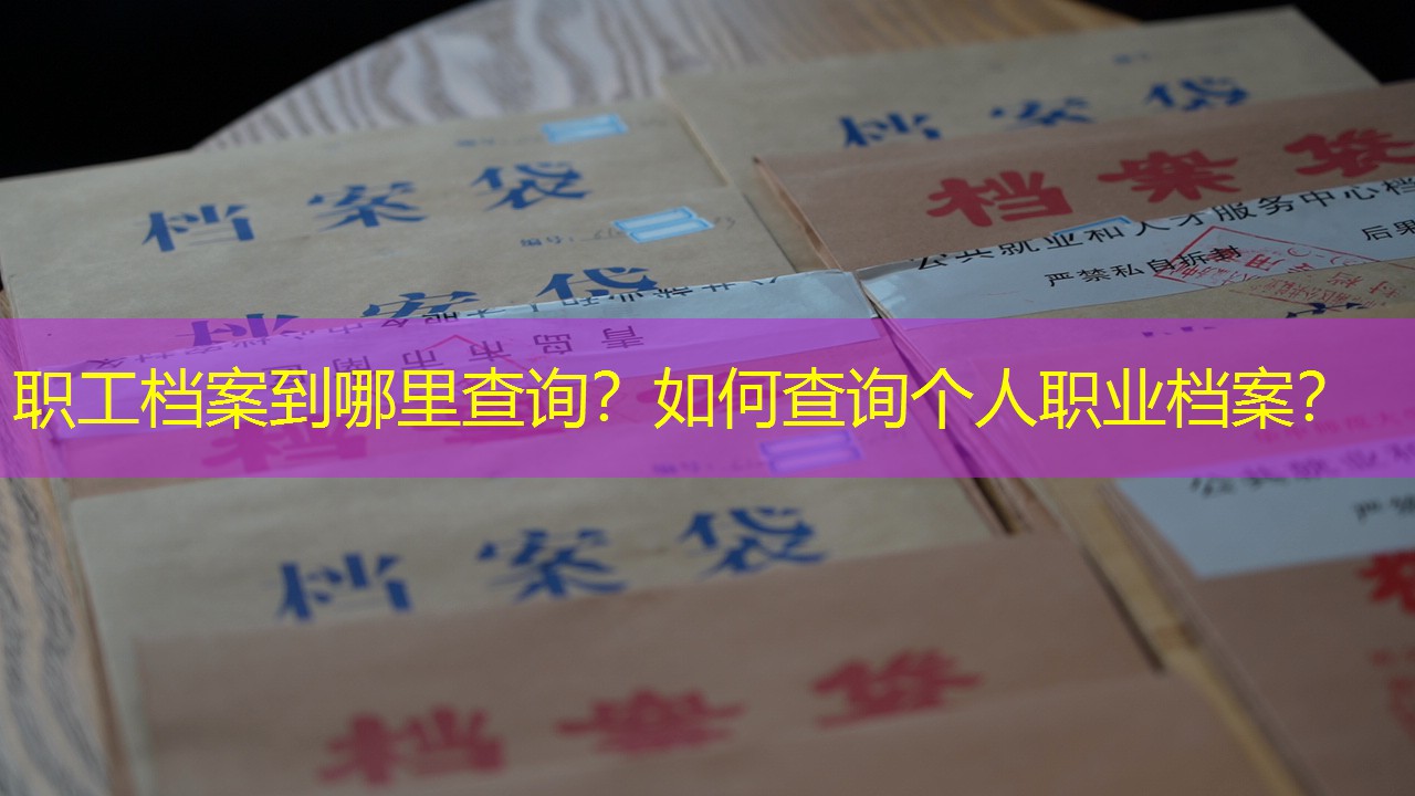 档案查询