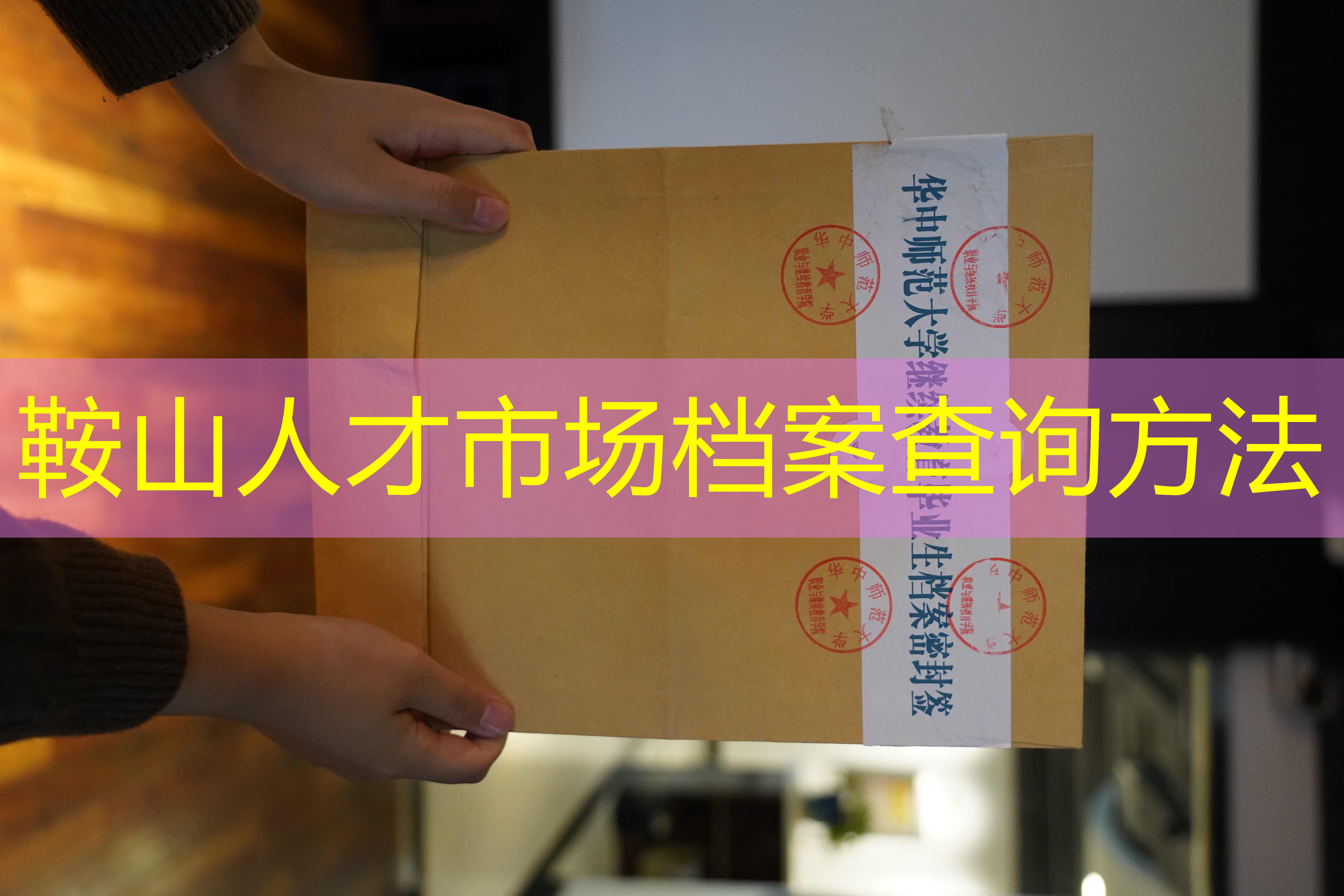 档案查询