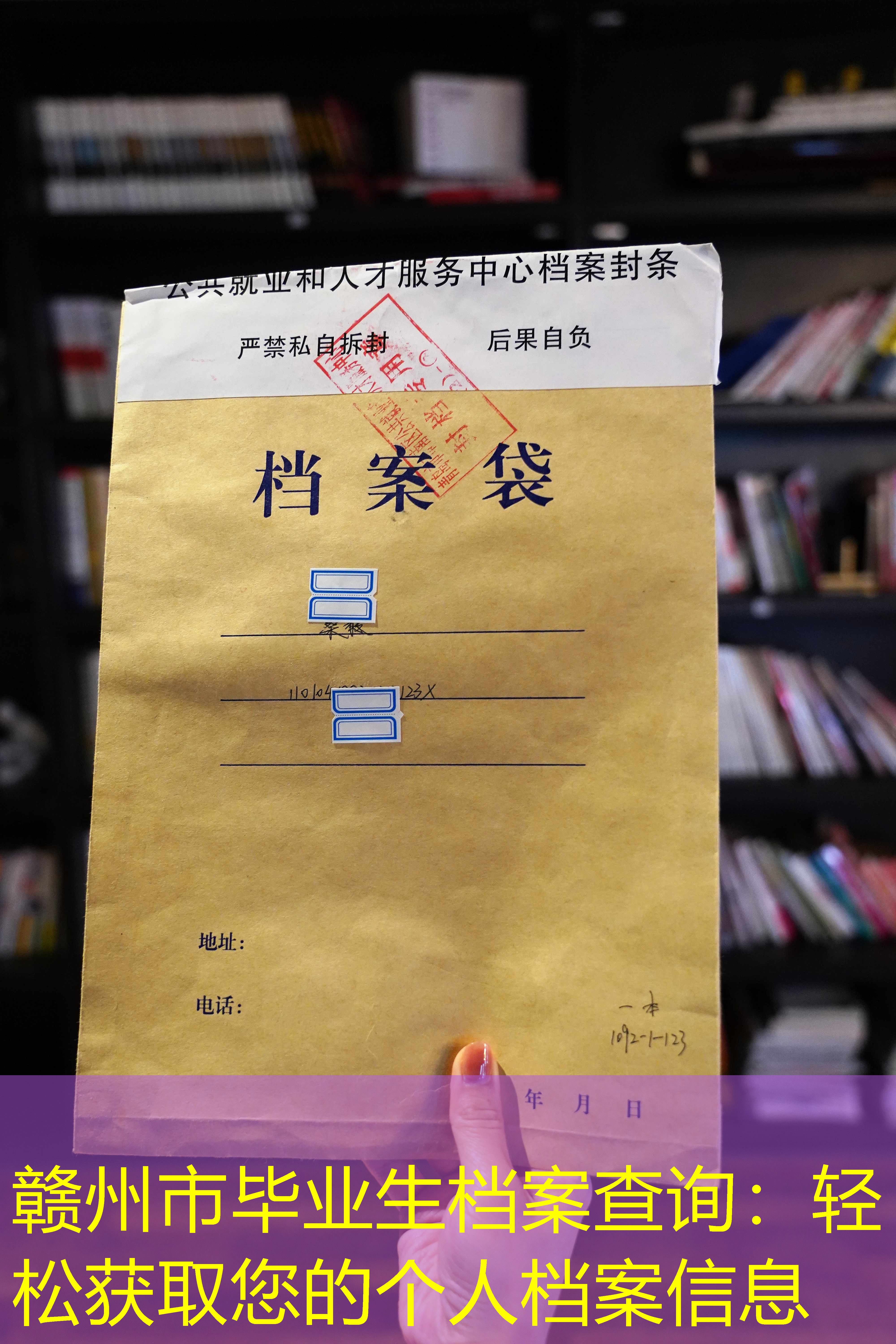 档案查询