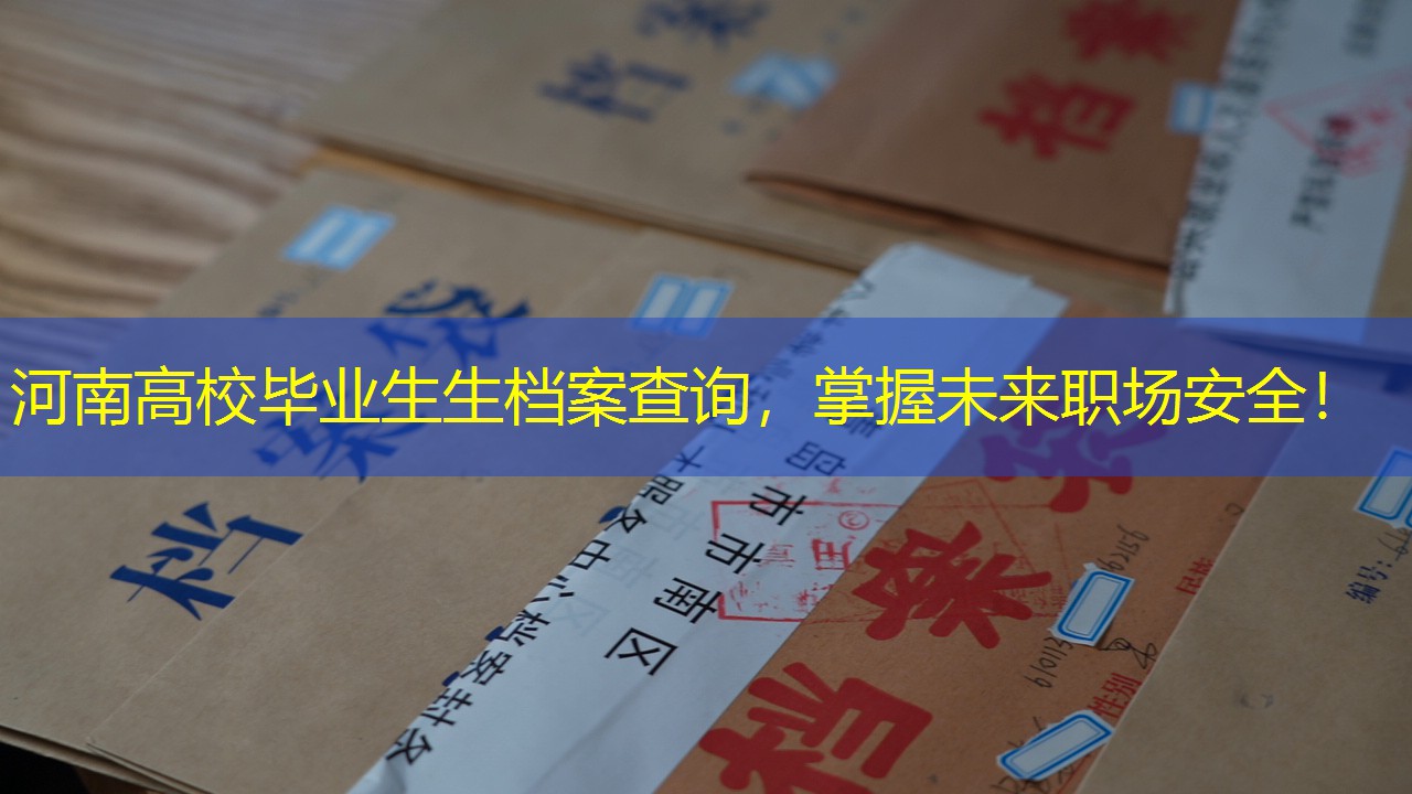 档案查询