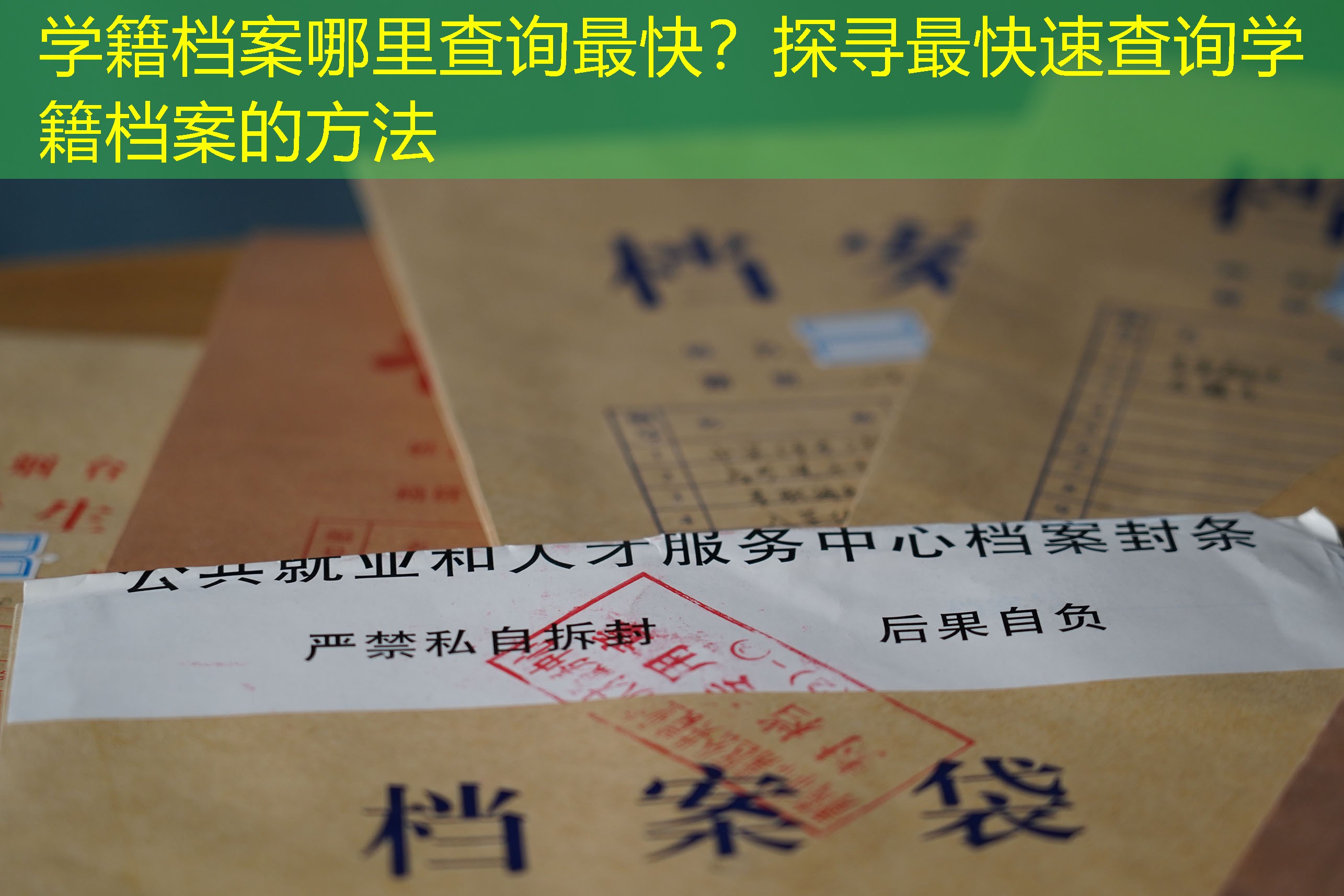 档案查询